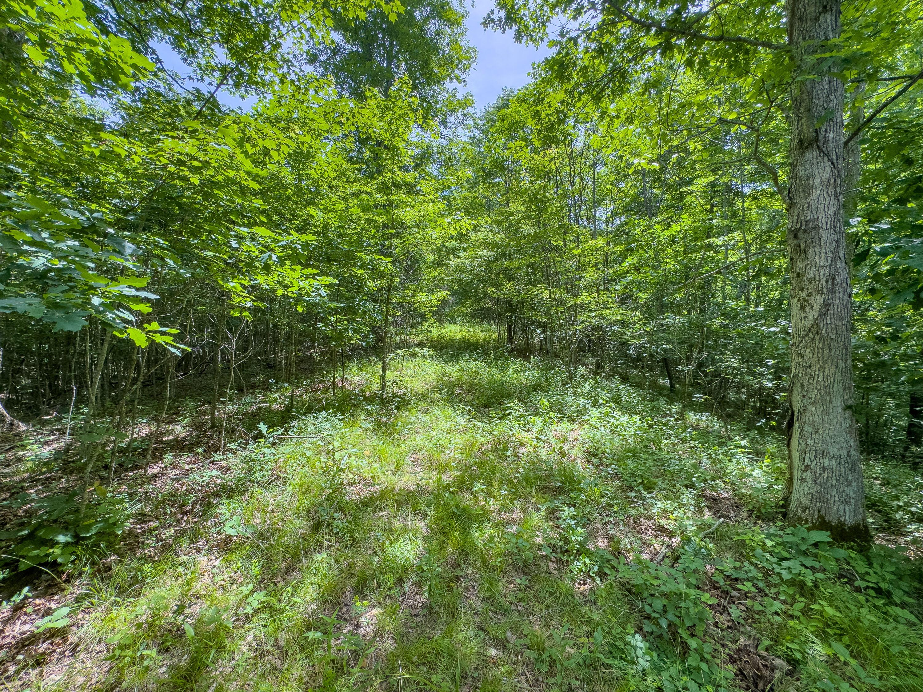 0 Symmes Creek Road Property Photo 19
