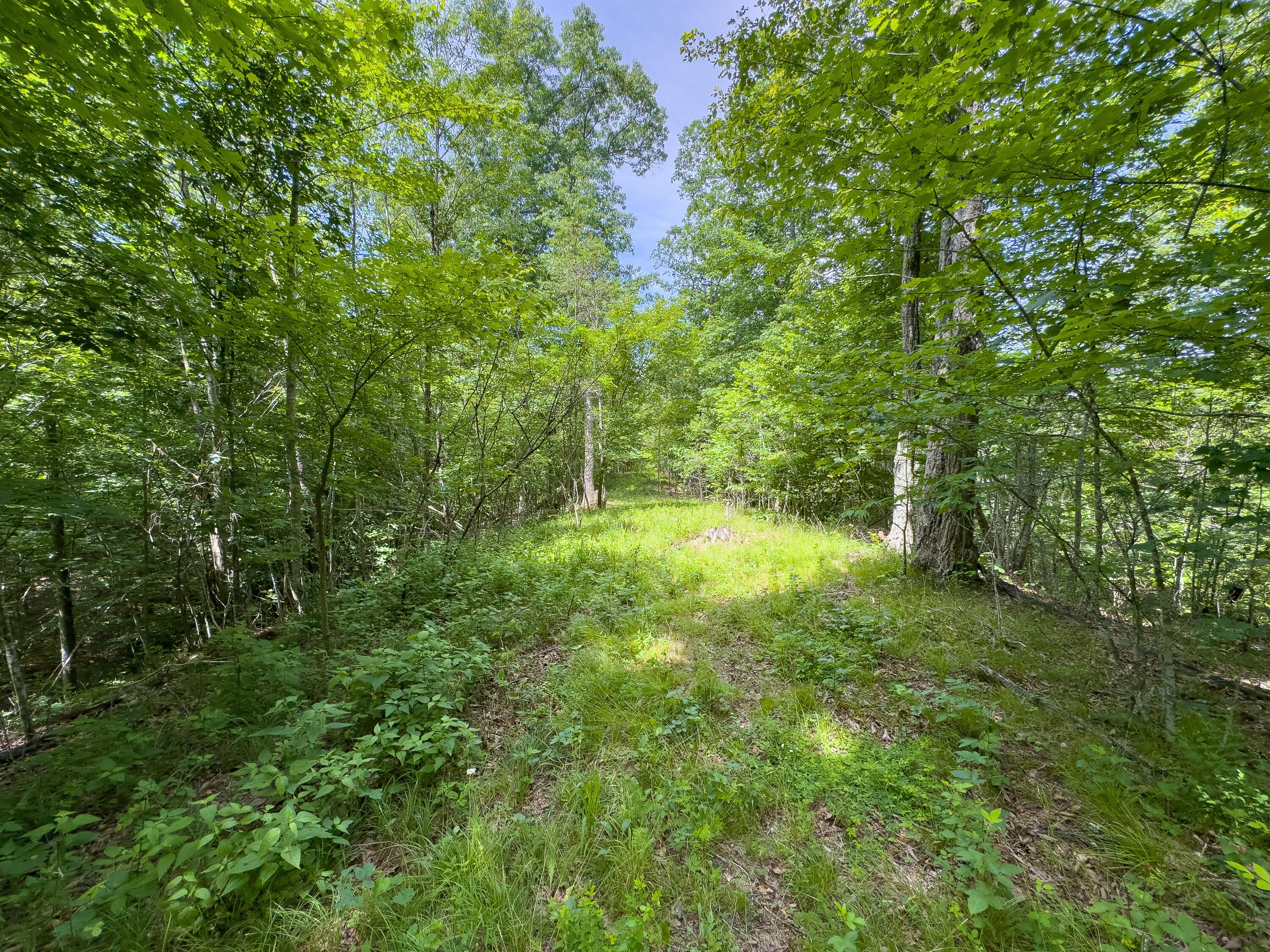 0 Symmes Creek Road Property Photo 20