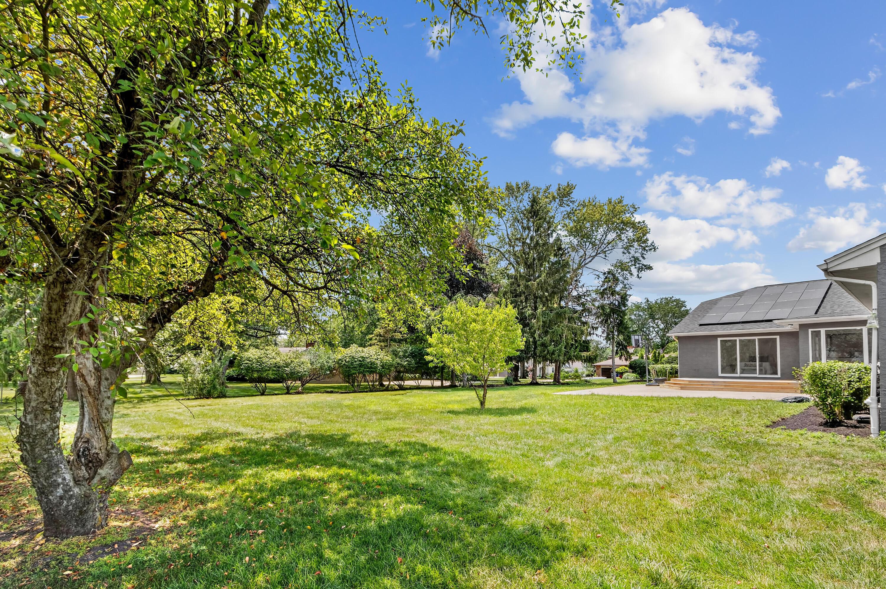 3781 Rushmore Drive Property Photo 54