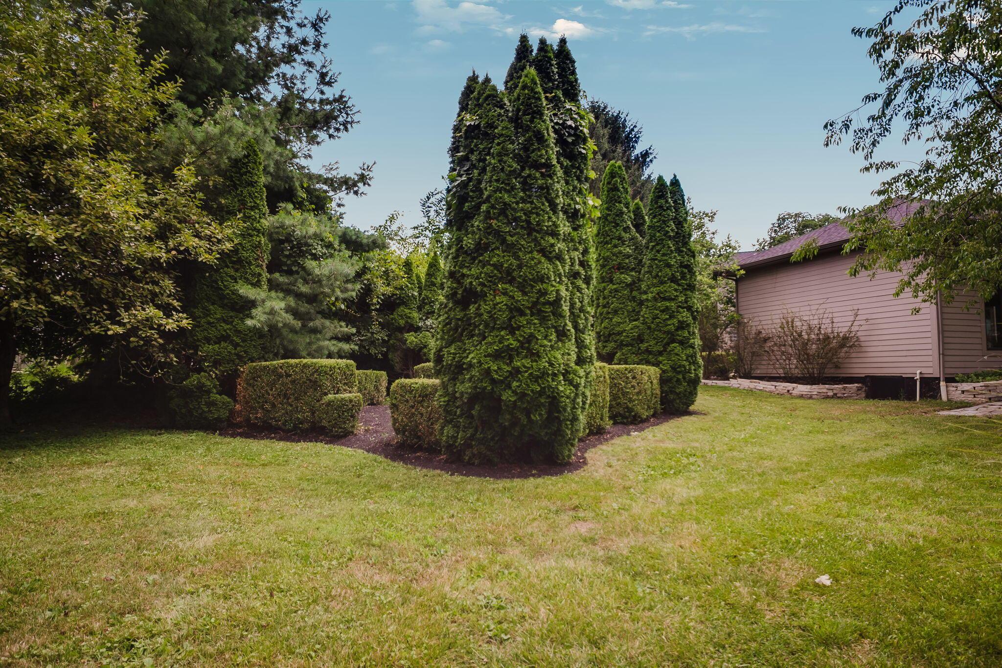 4111 Curve Road Property Photo 86