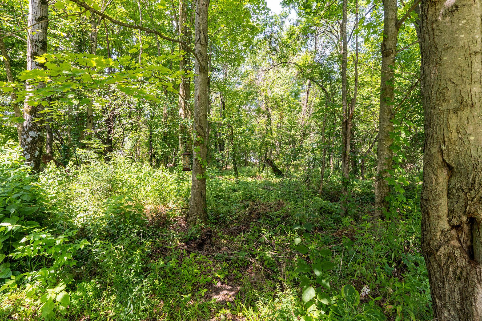 5725 Triplett Square Property Photo 45