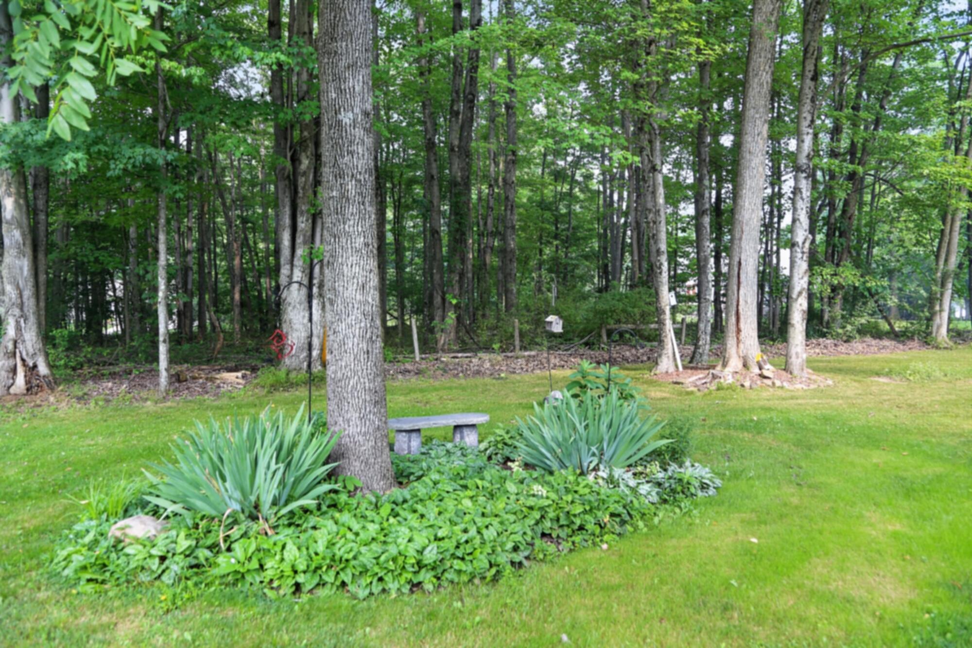 703 Daffodil Drive Property Photo 45