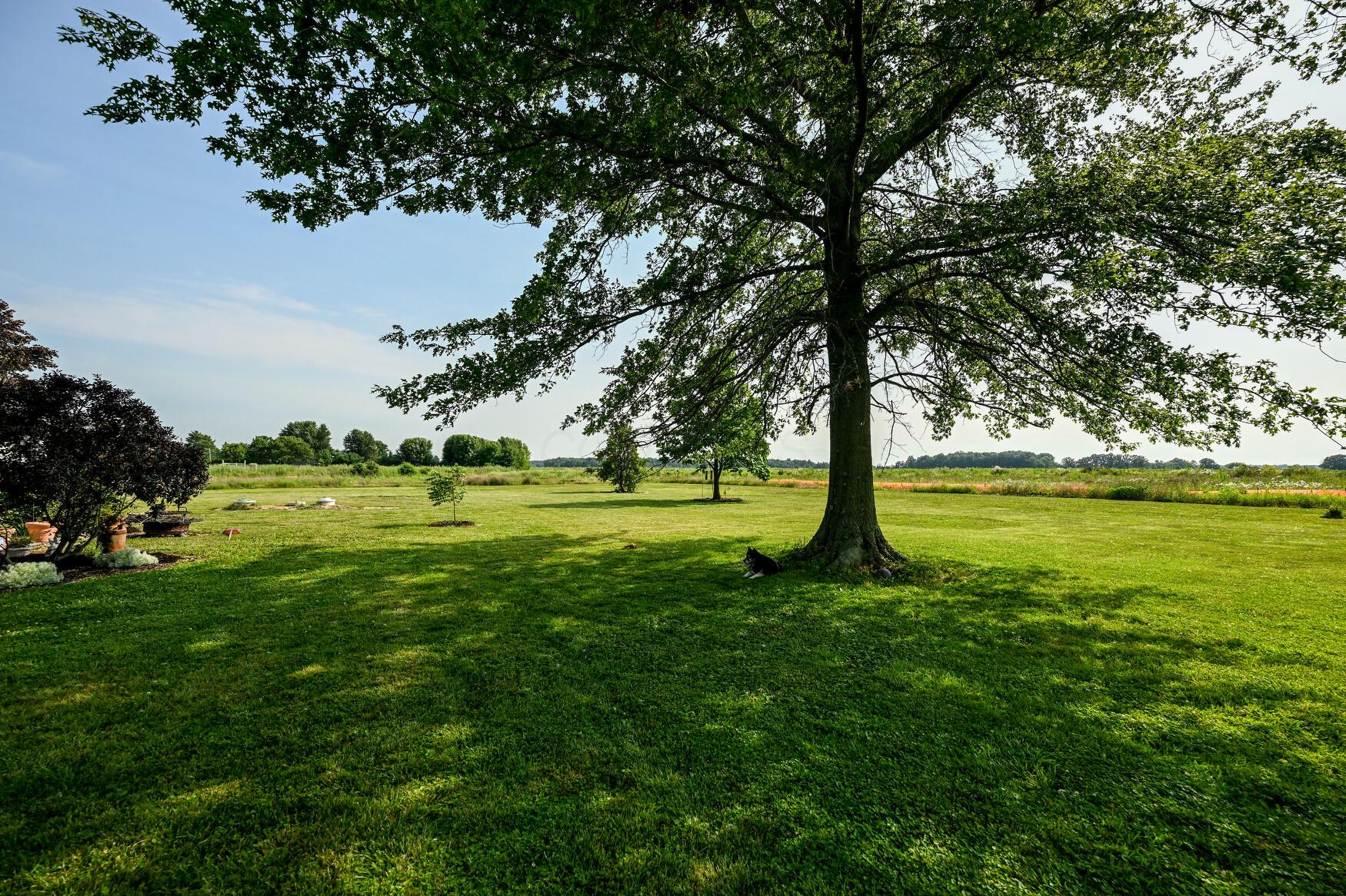 14838 Ohio 301 Property Photo 45