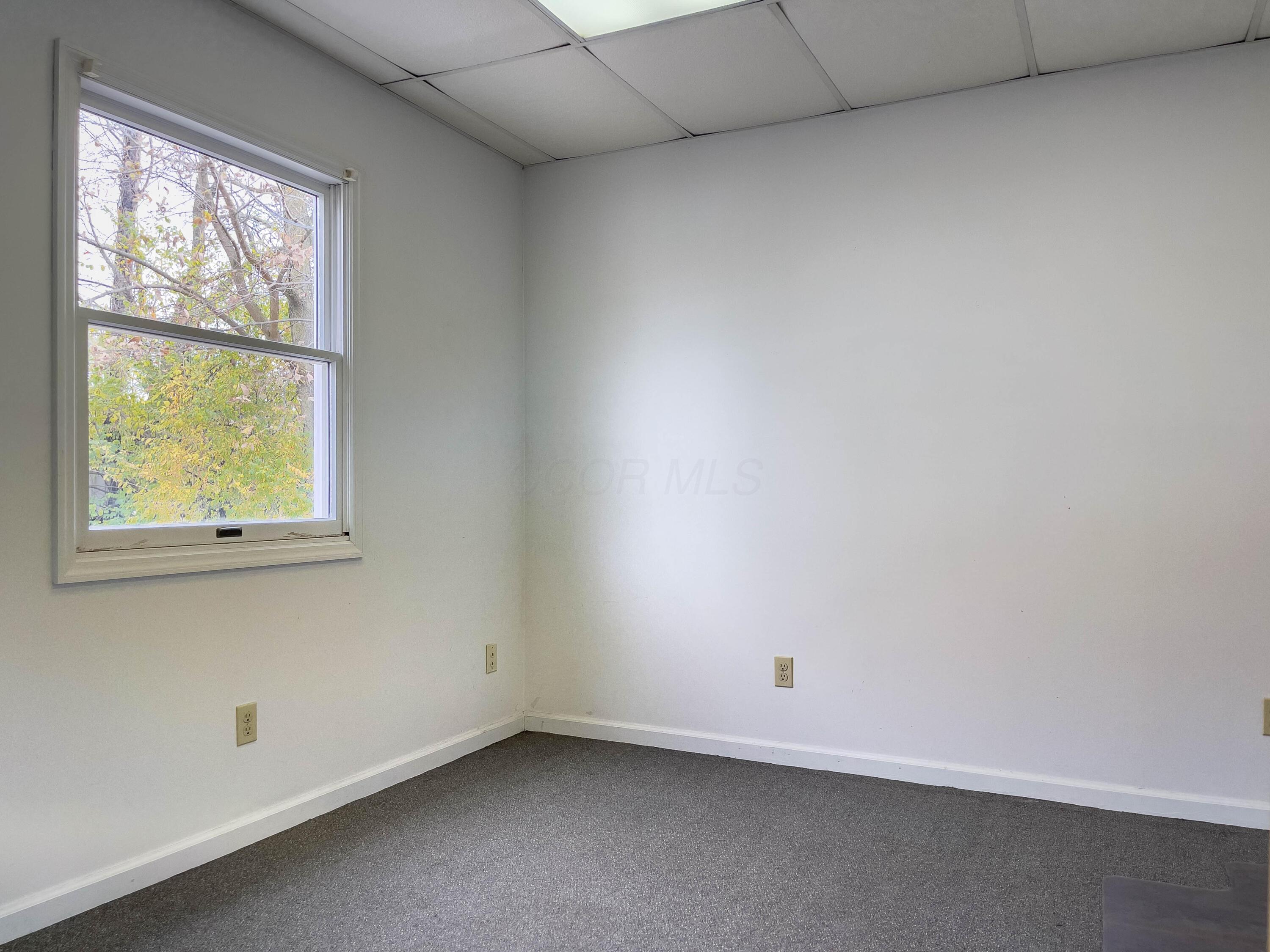 703 Miami Street Property Photo 19