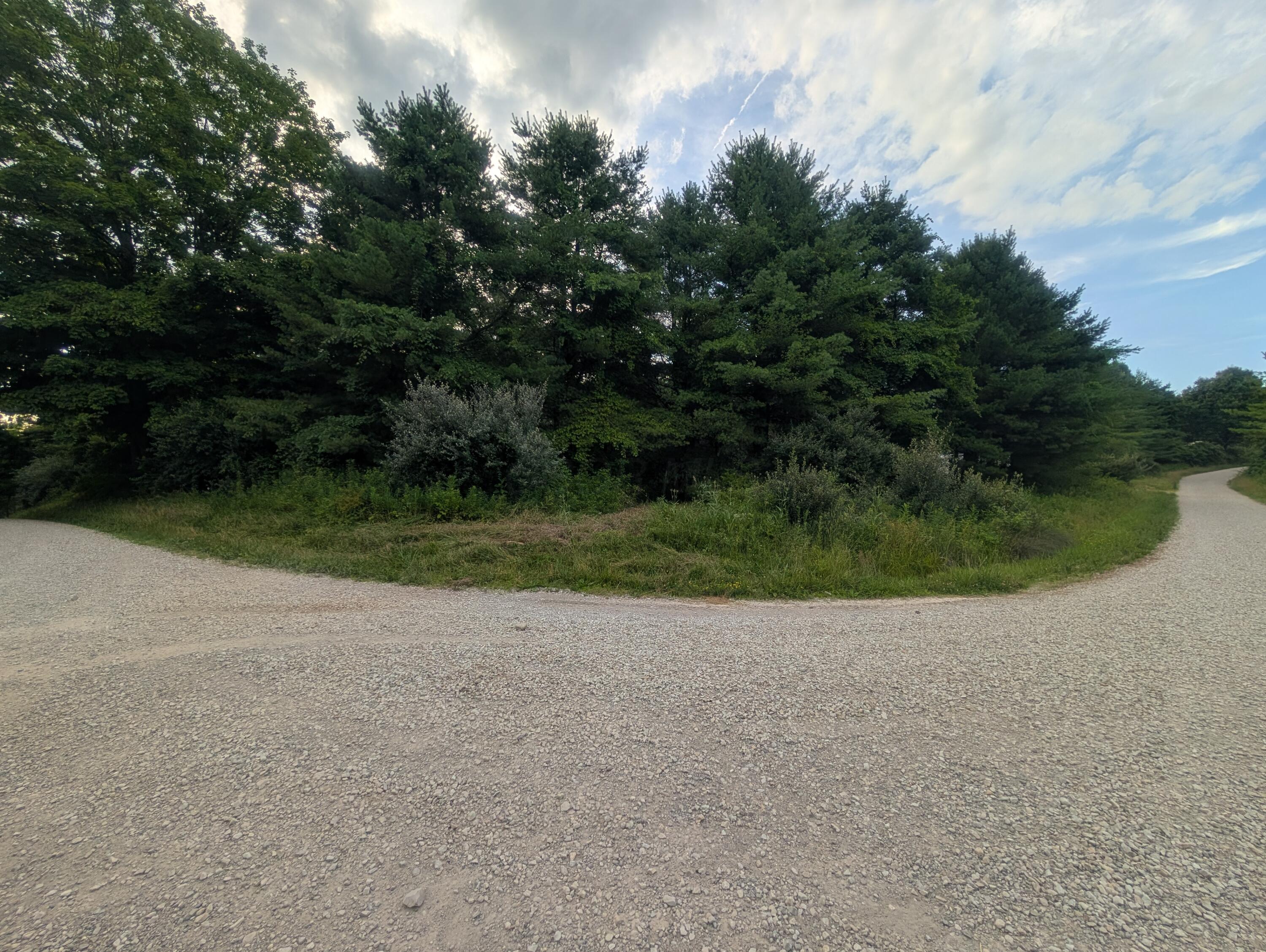 Tract A E. Reinersville Road Property Photo 10