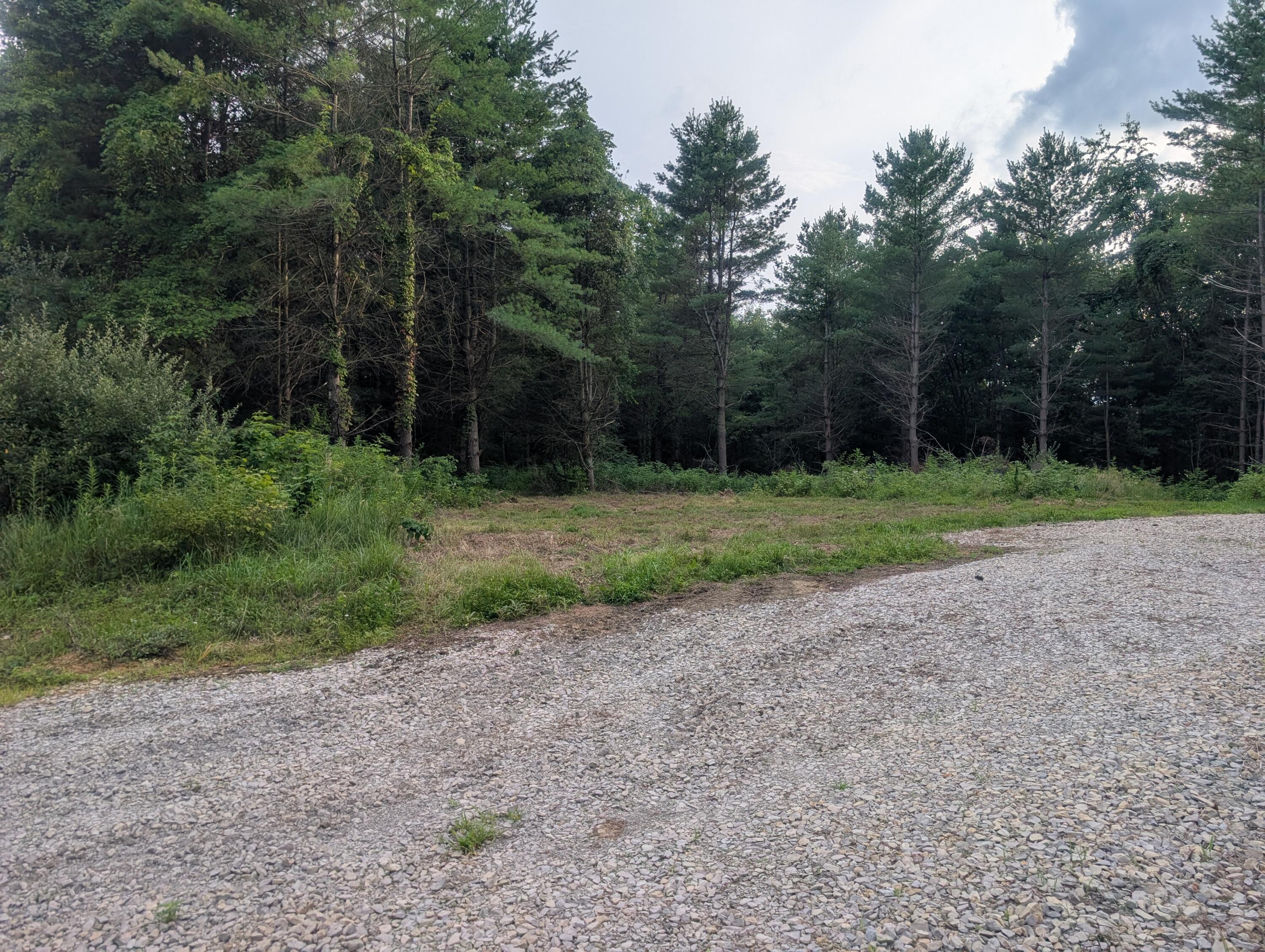 Tract A E. Reinersville Road Property Photo 11