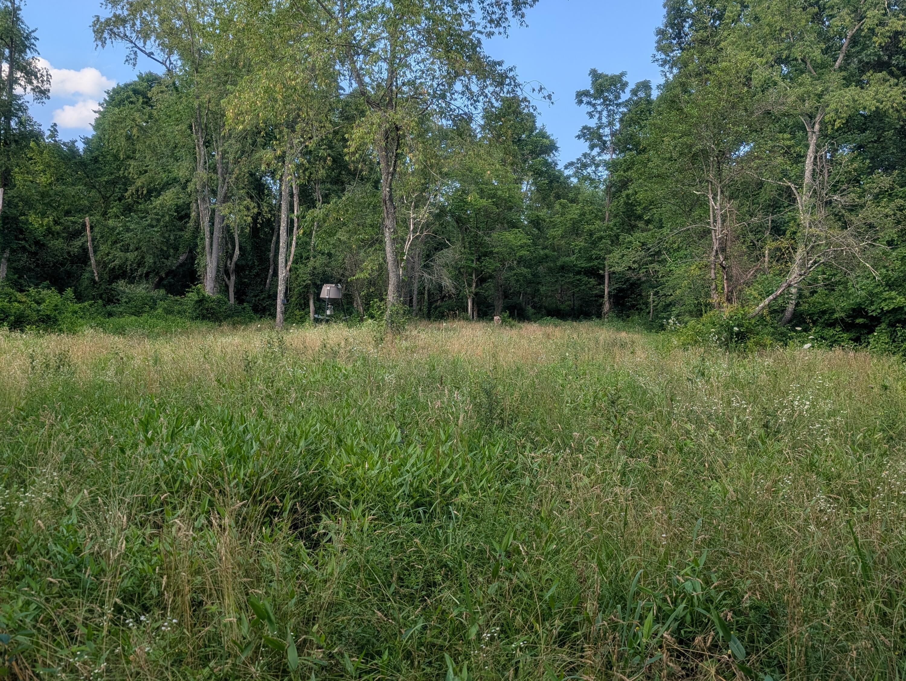 5055 Tract C Early Ridge Property Photo 11