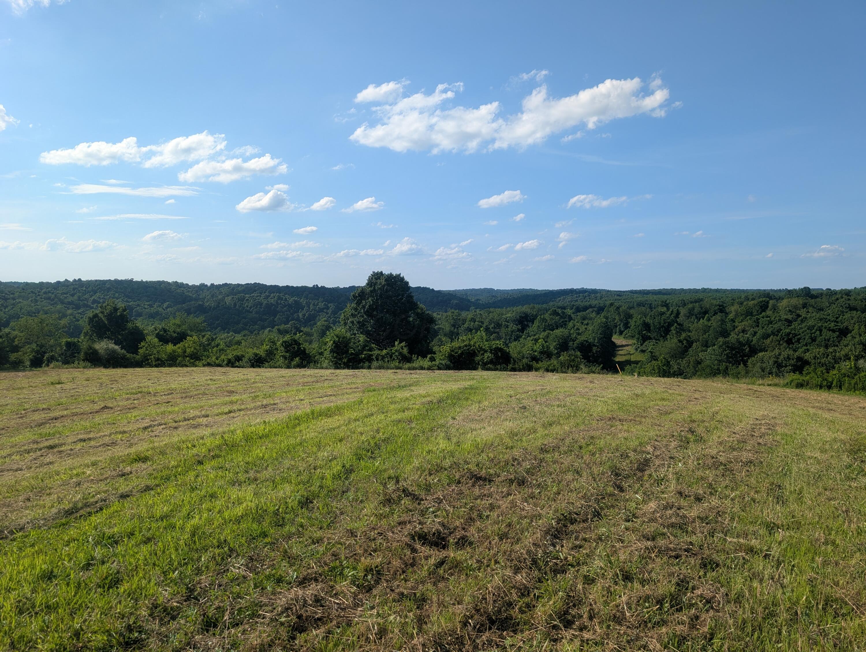 5055 Early Ridge Property Photo 1