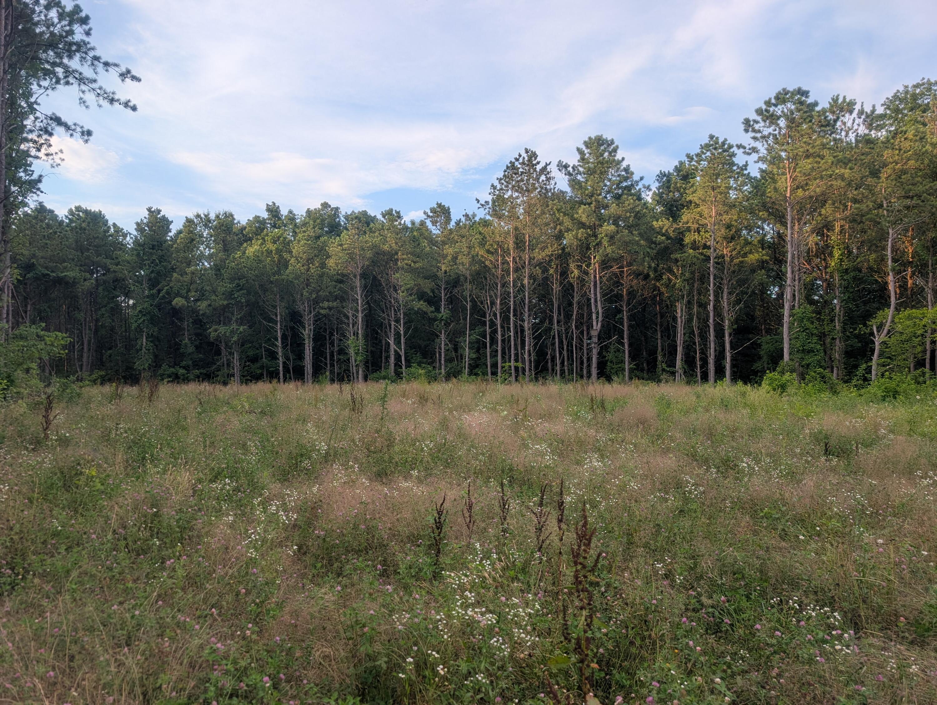 5055 Early Ridge Property Photo 30