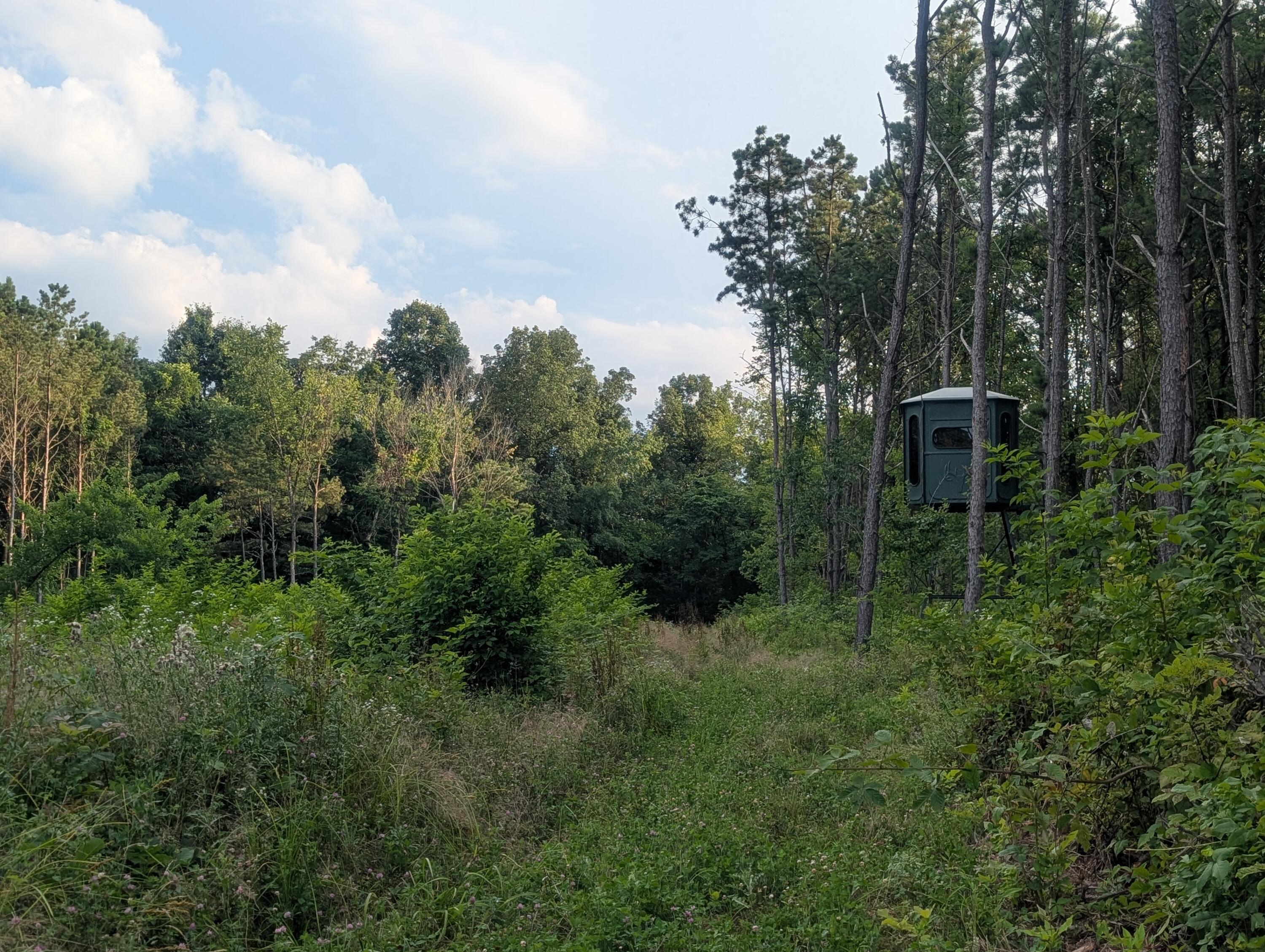 0 Tract D E. Reinersville Road Property Photo 11