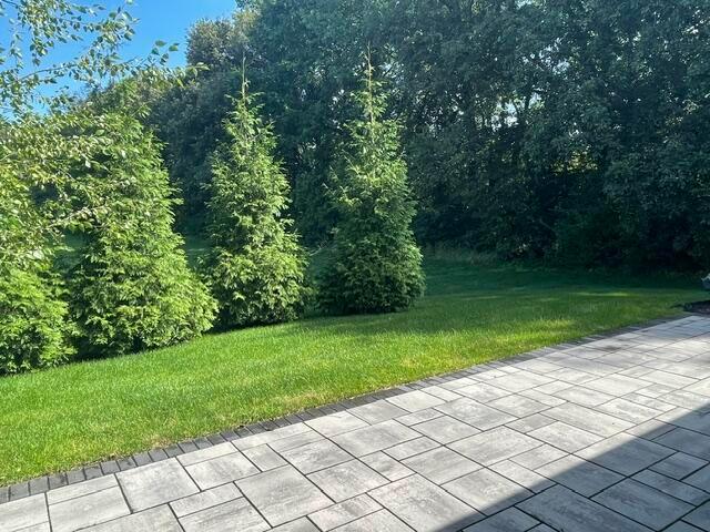 8180 Lilium Way Property Photo 59