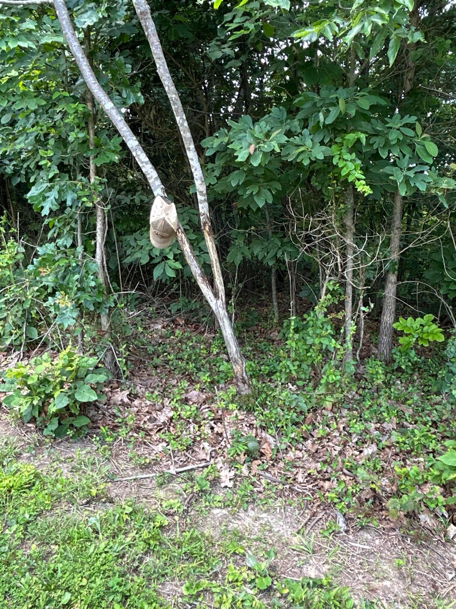 1481 Shoestring Ridge Road Property Photo 40