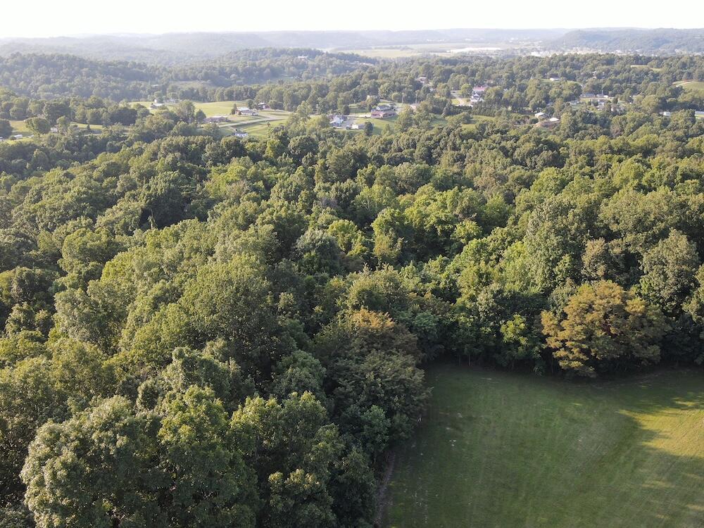 1481 Shoestring Ridge Road Property Photo 53
