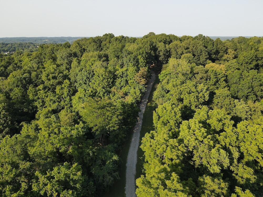1481 Shoestring Ridge Road Property Photo 55