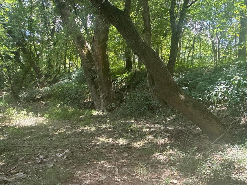 0 Lemaster Road Property Photo 32