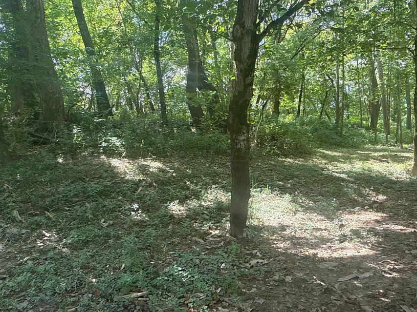 0 Lemaster Road Property Photo 33