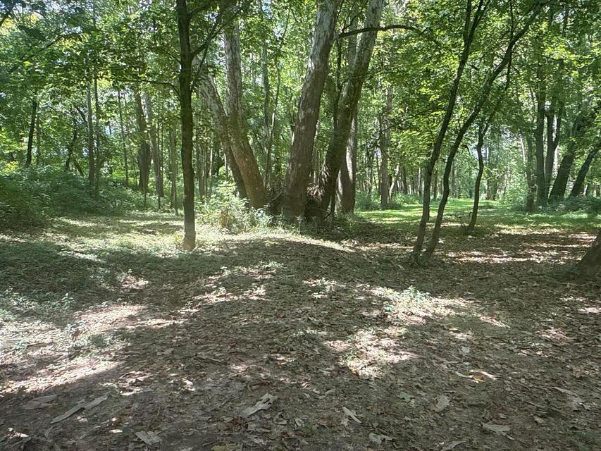 0 Lemaster Road Property Photo 34