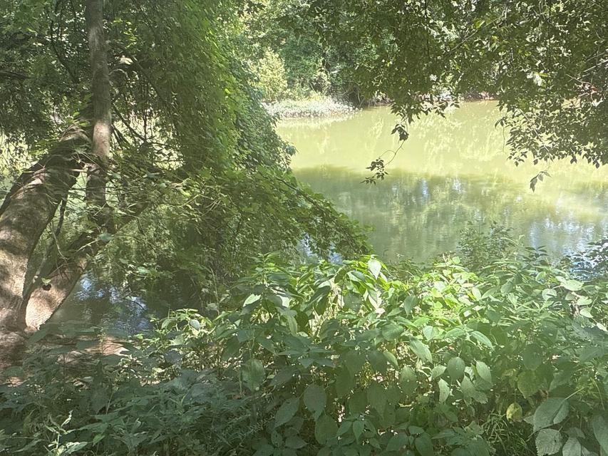 0 Lemaster Road Property Photo 36