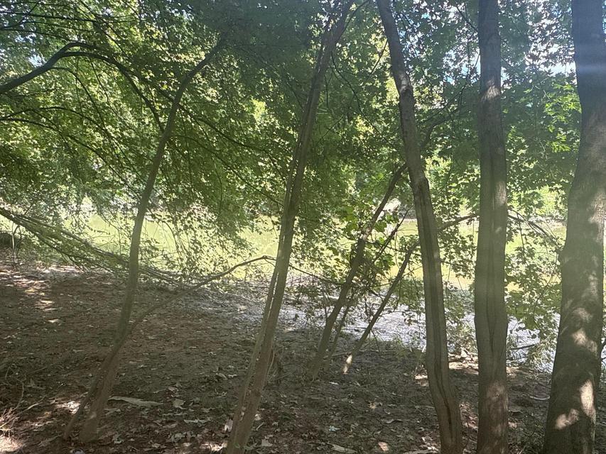 0 Lemaster Road Property Photo 37