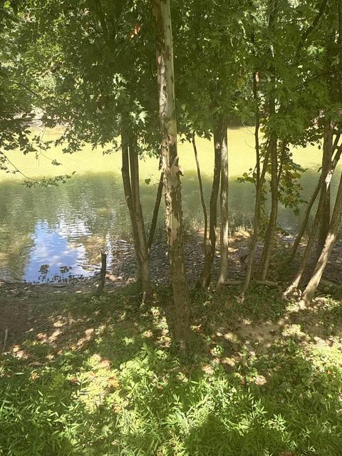 0 Lemaster Road Property Photo 48