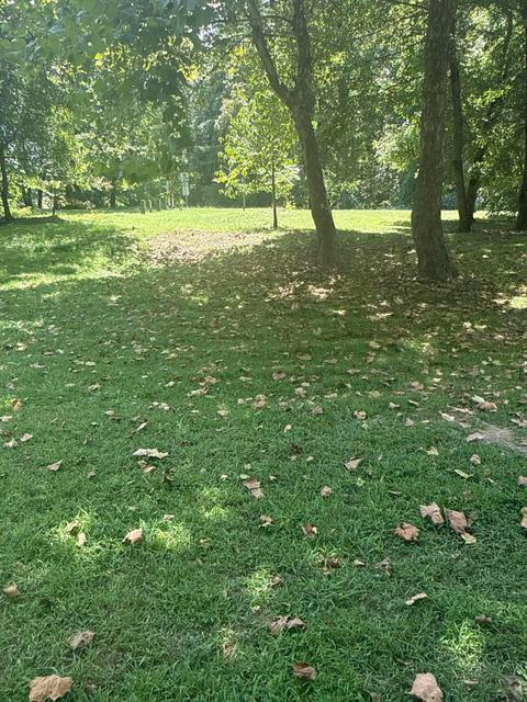 0 Lemaster Road Property Photo 49