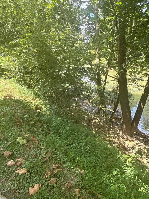 0 Lemaster Road Property Photo 52