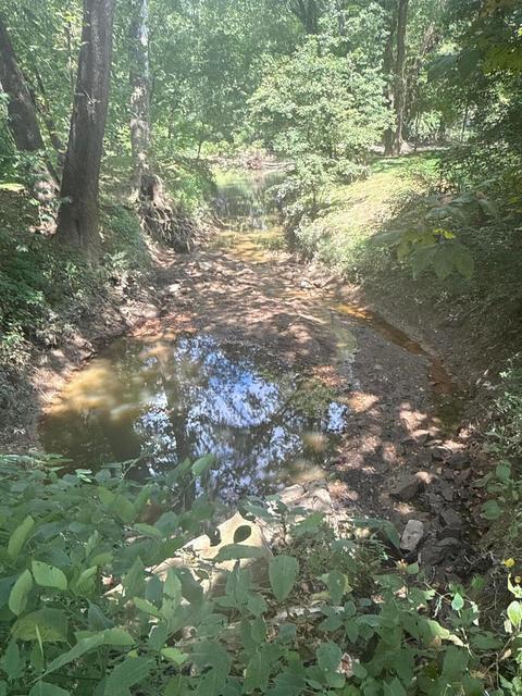 0 Lemaster Road Property Photo 53