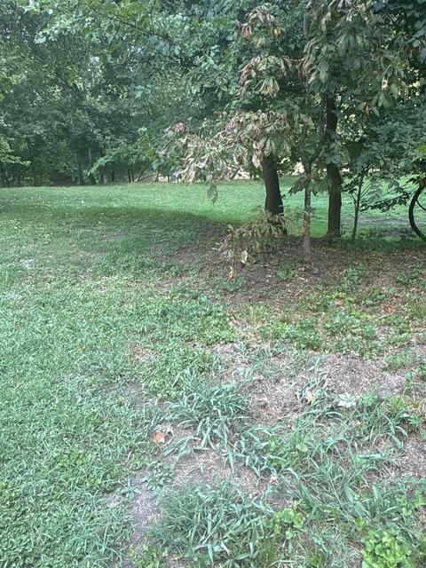 0 Lemaster Road Property Photo 55