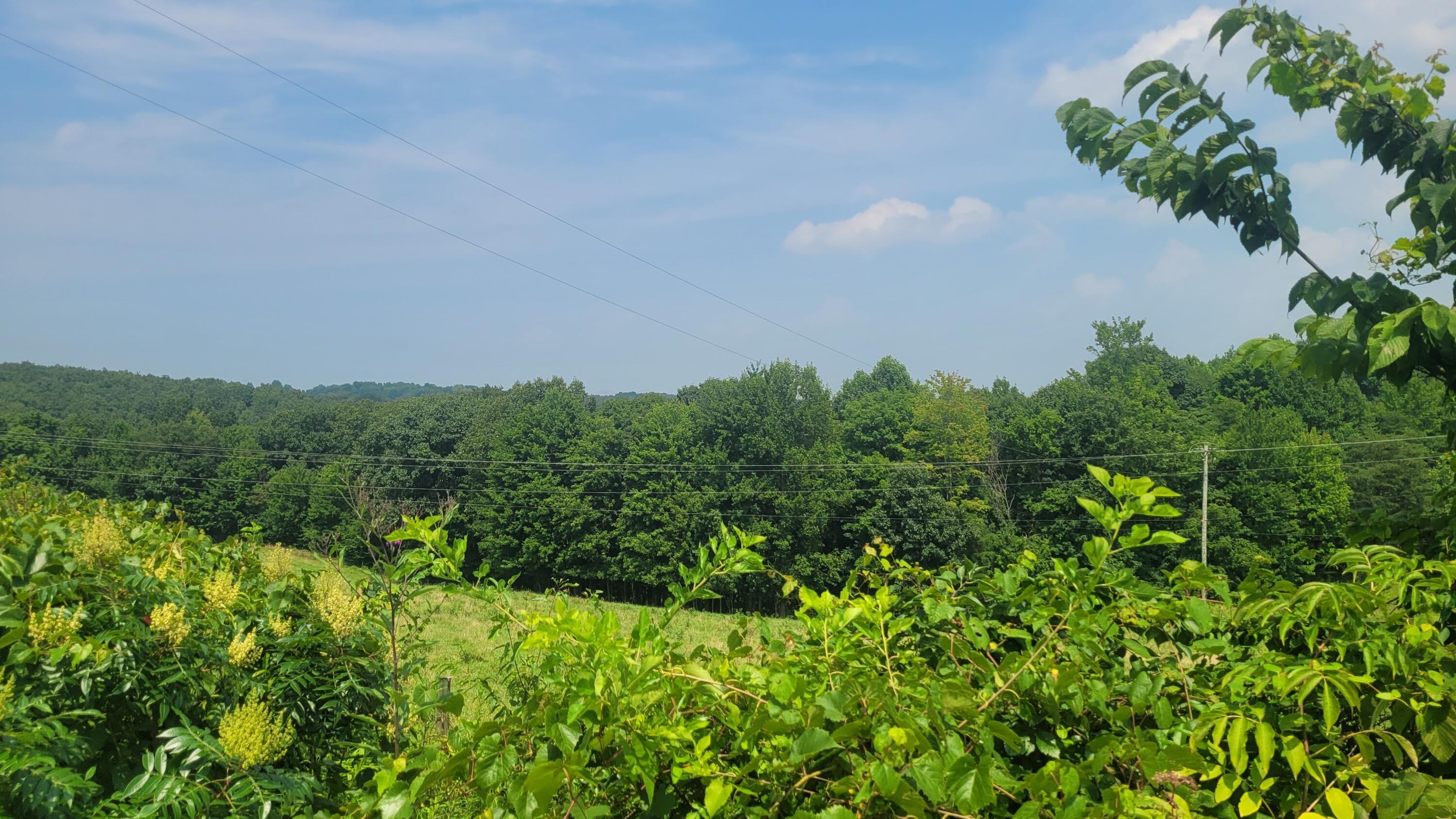 1561 Wickline Road Property Photo 1