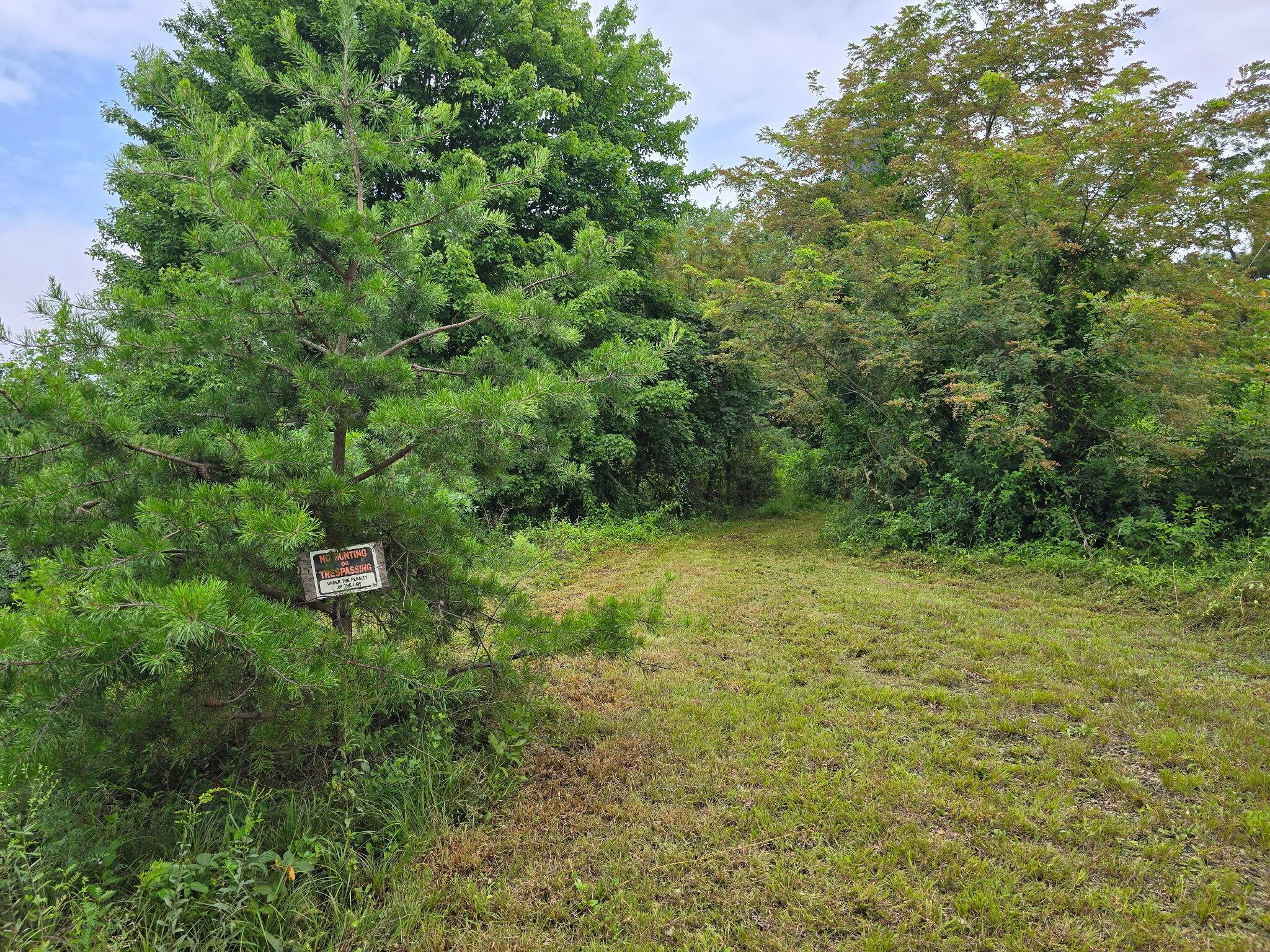 1561 Wickline Road Property Photo 6