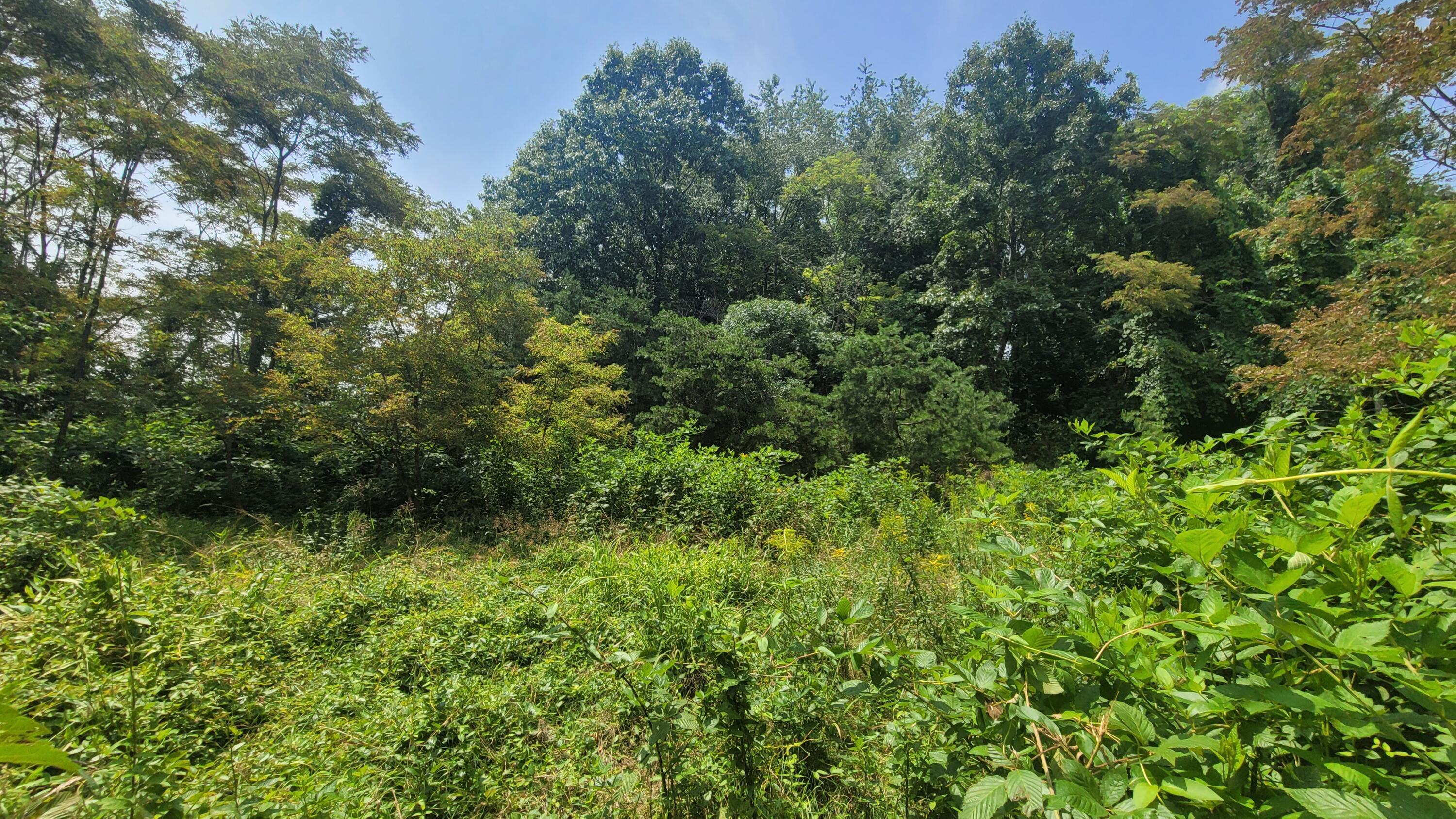 1561 Wickline Road Property Photo 7