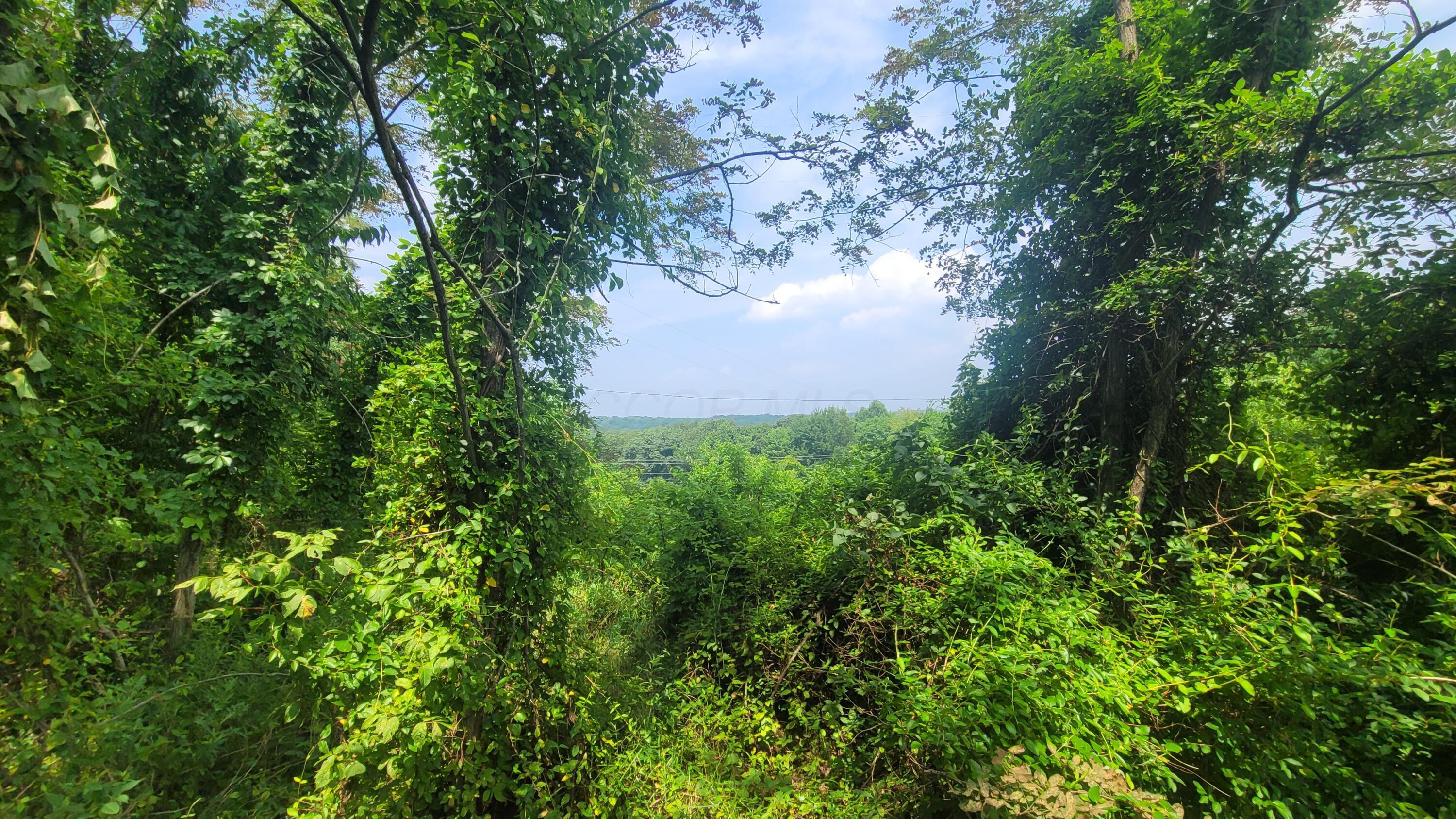 1561 Wickline Road Property Photo 9