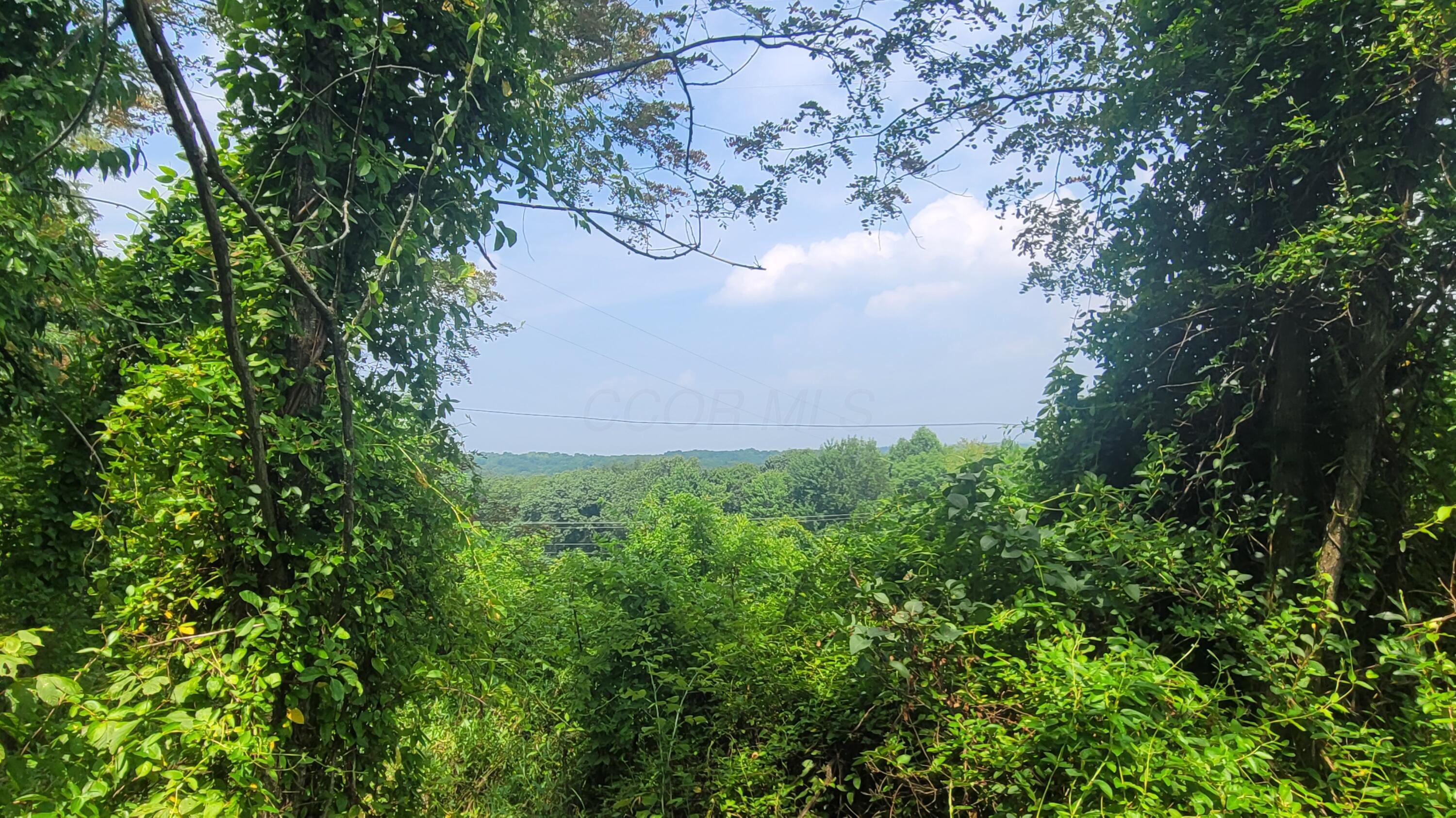 1561 Wickline Road Property Photo 10