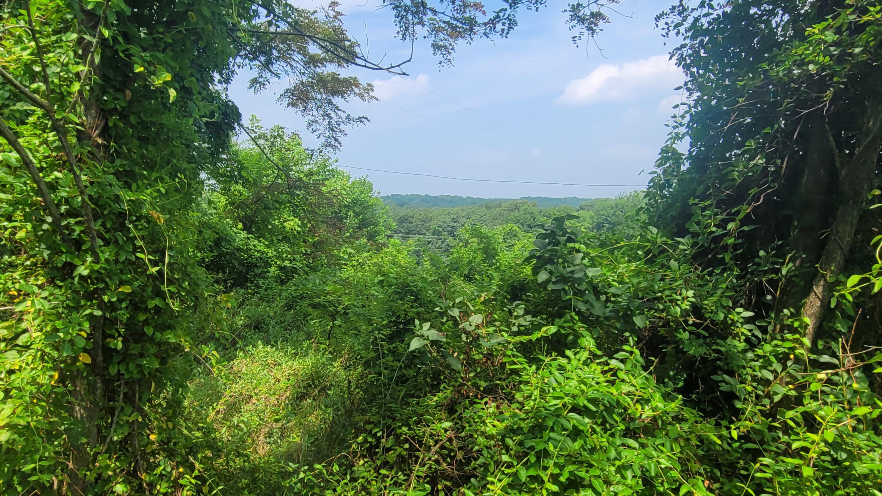 1561 Wickline Road Property Photo 11