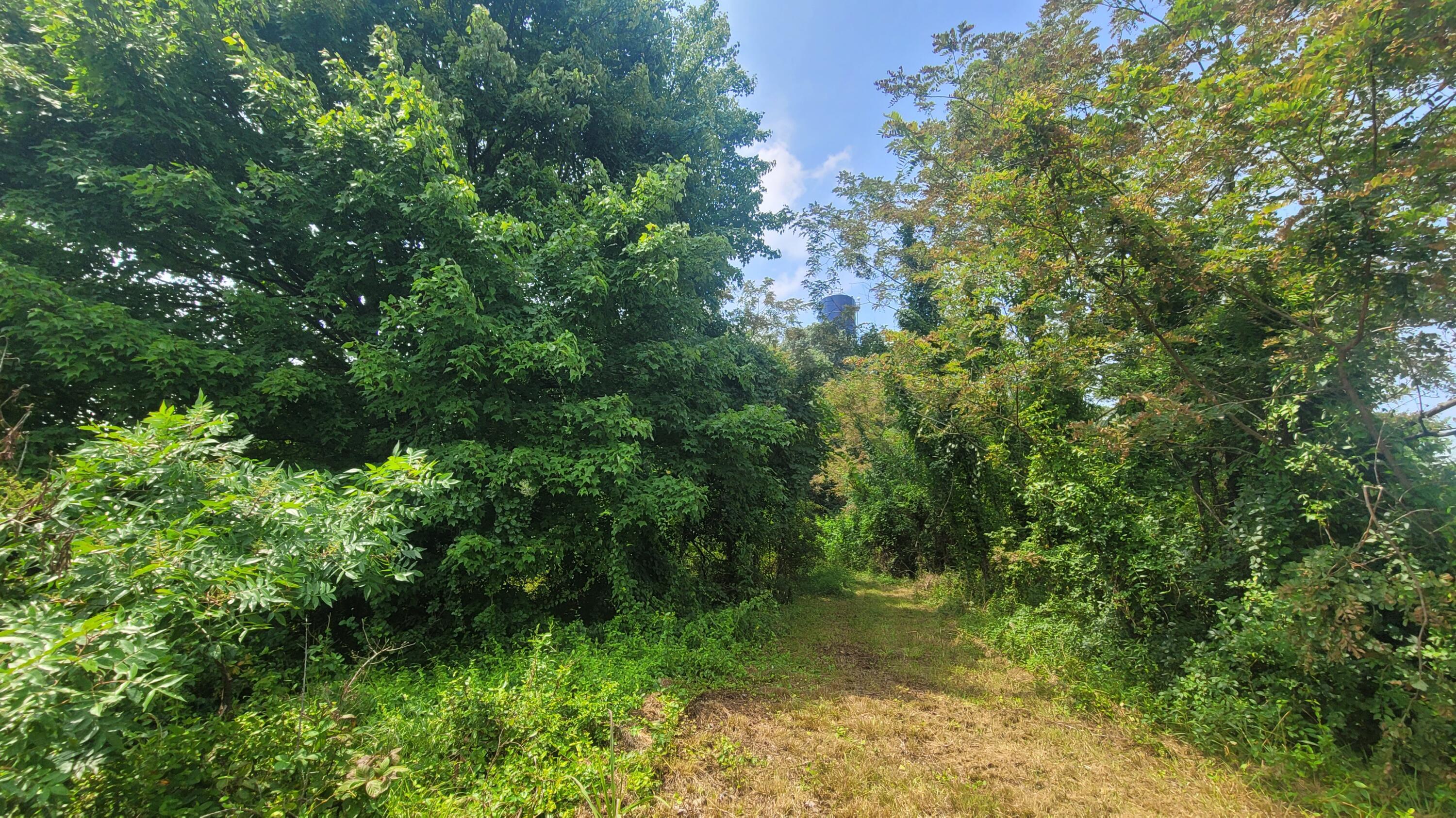 1561 Wickline Road Property Photo 12