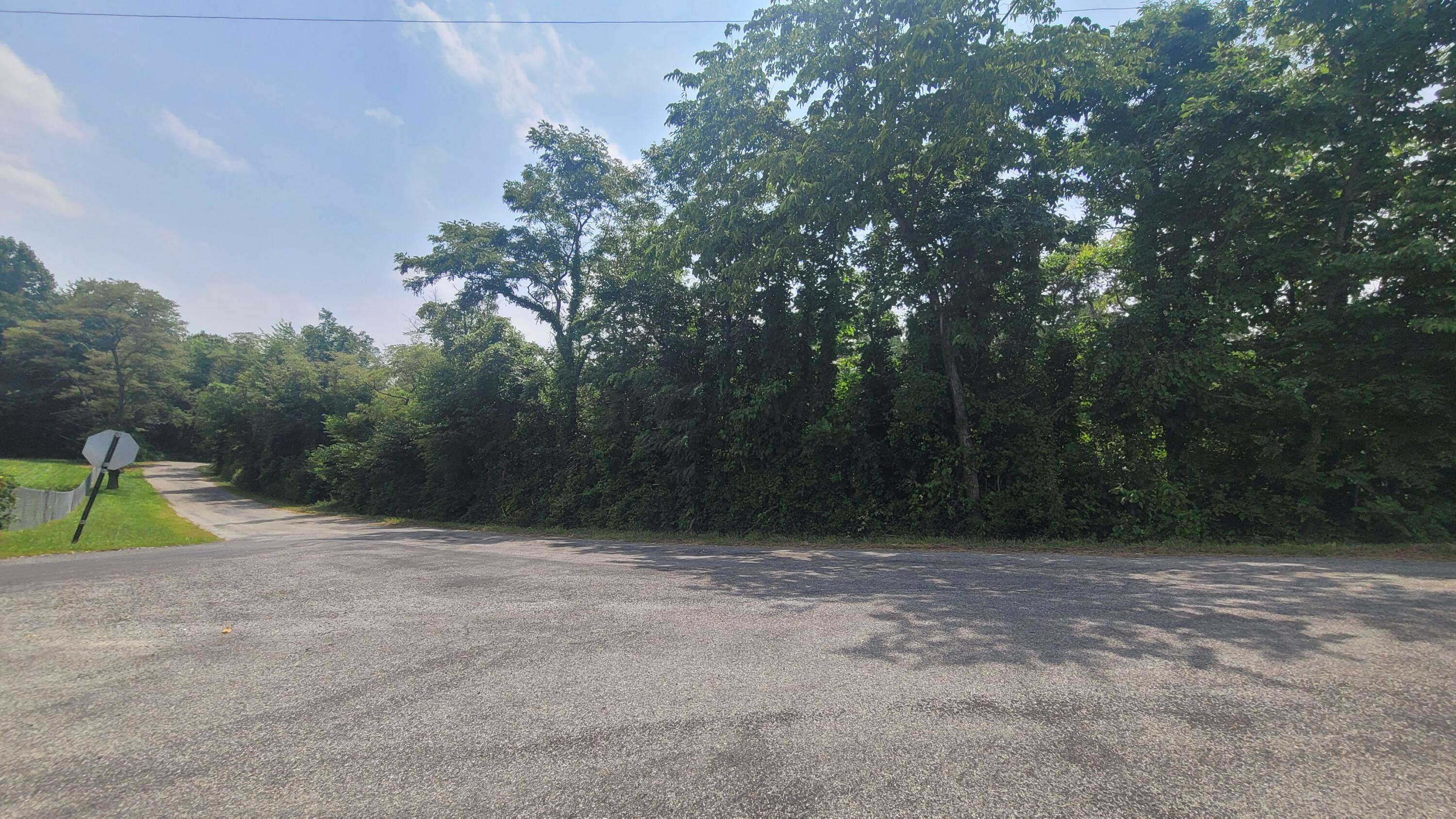 1561 Wickline Road Property Photo 15
