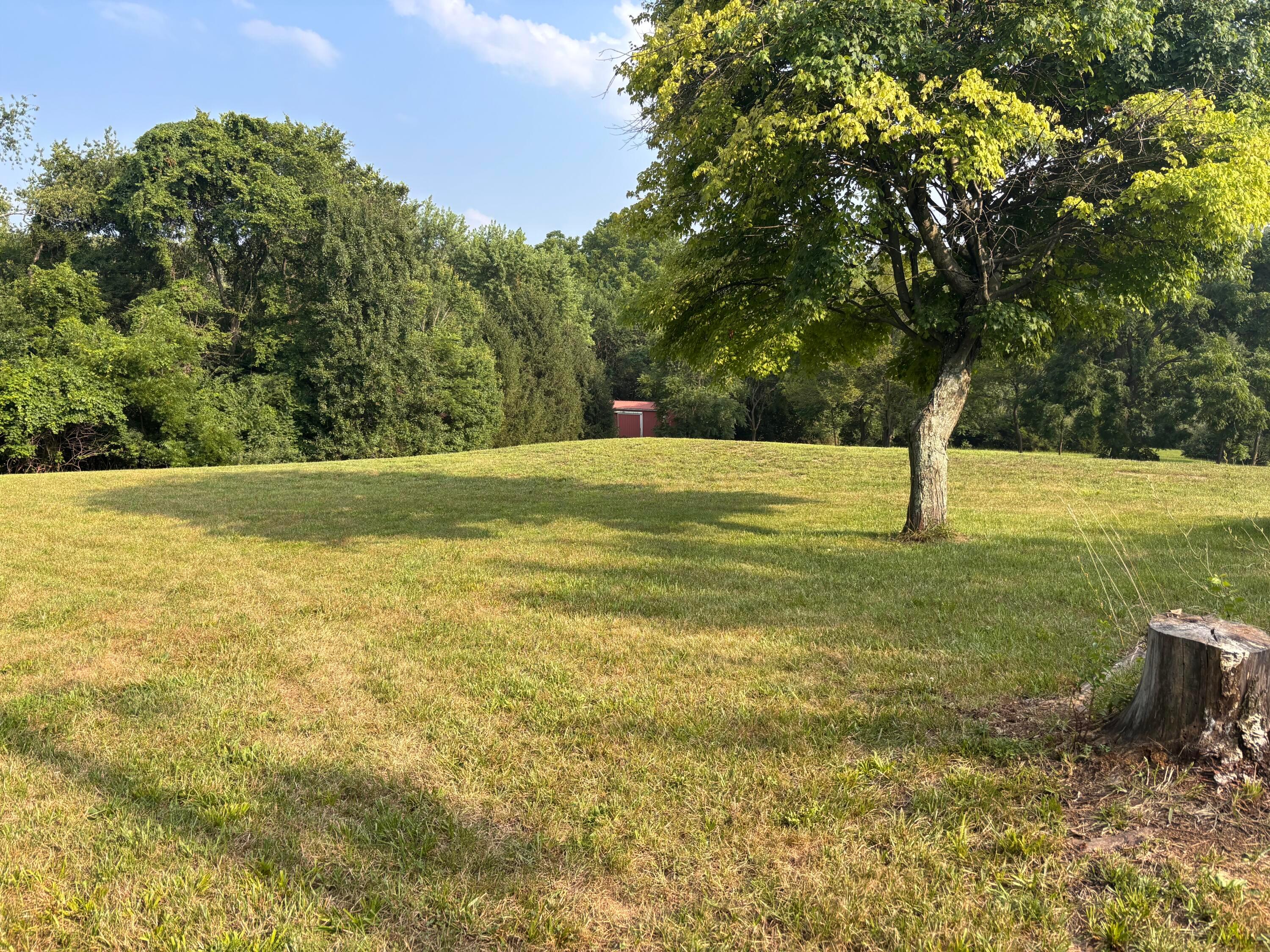 7067 Hagerty Road Property Photo 3