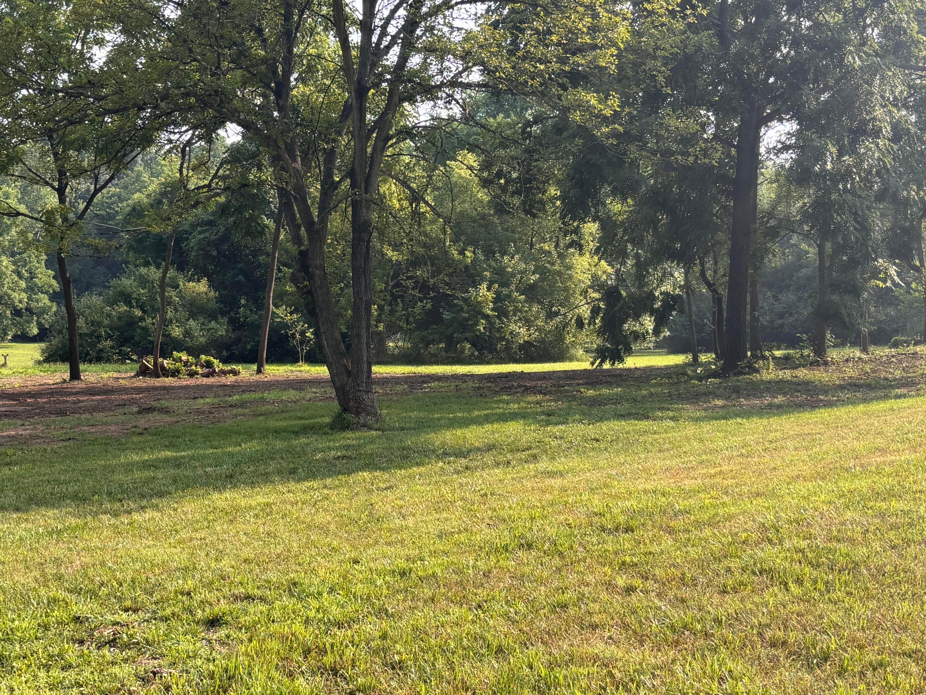 7067 Hagerty Road Property Photo 5