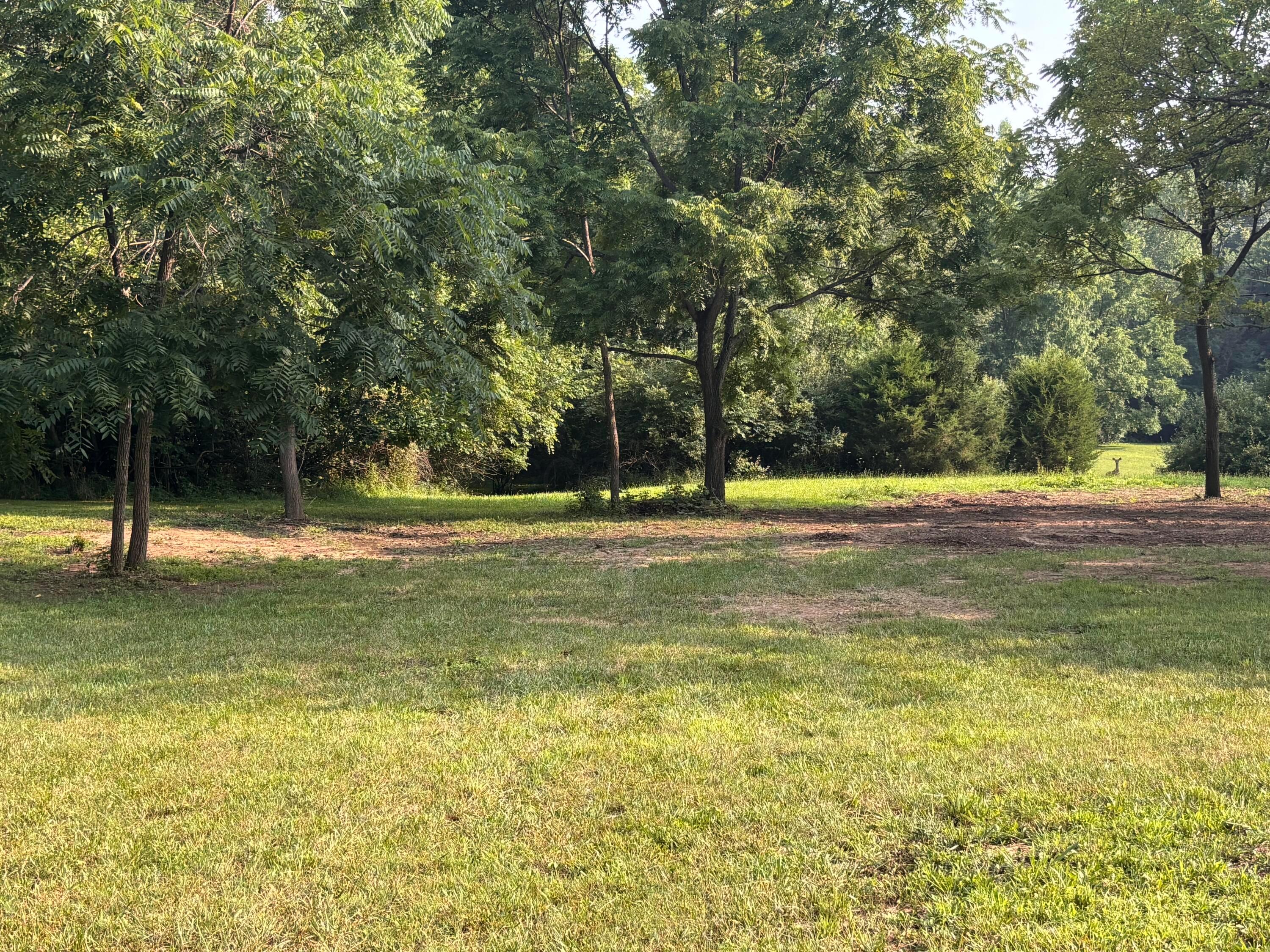7067 Hagerty Road Property Photo 6