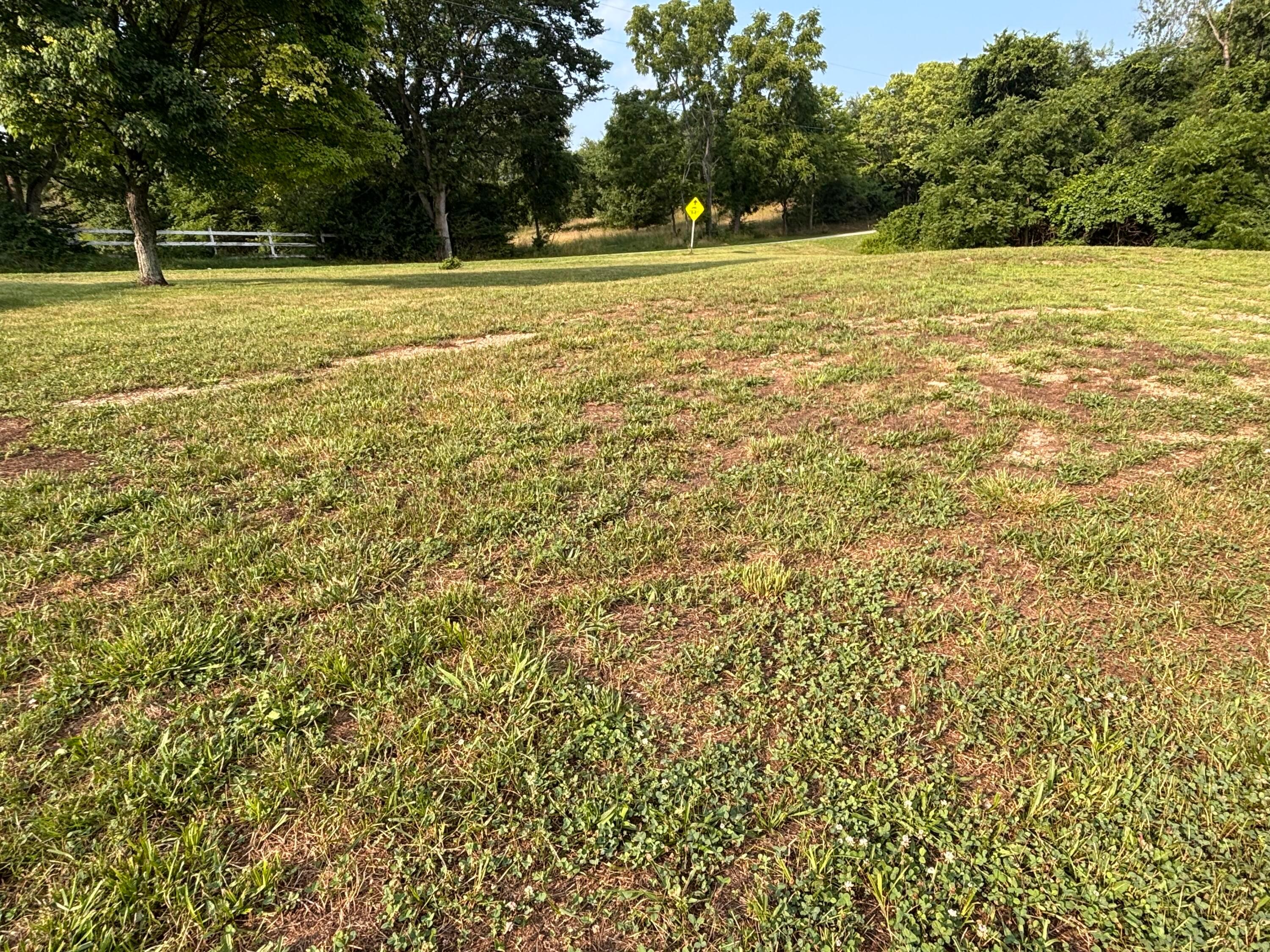7067 Hagerty Road Property Photo 9