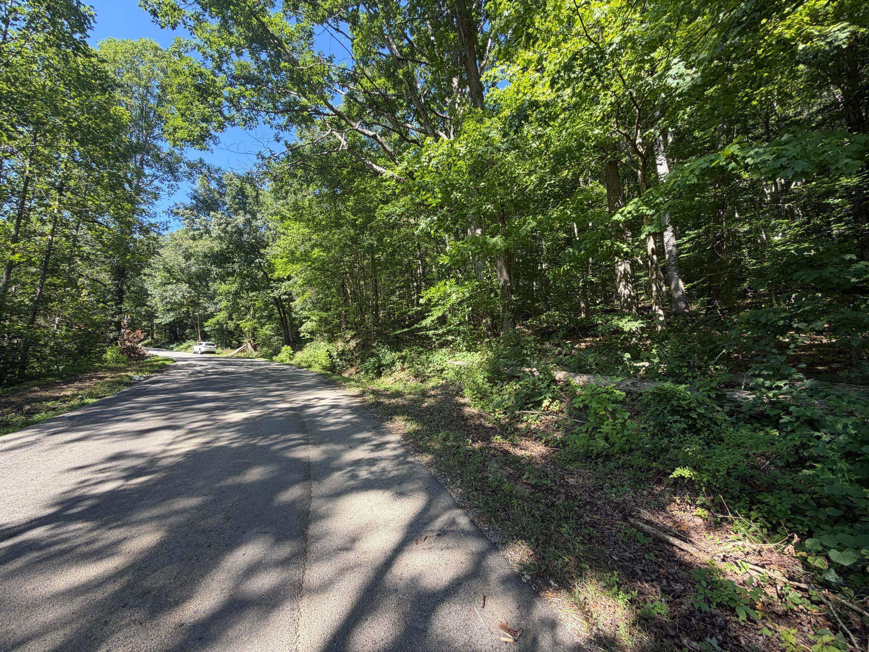0 Rainbow Trail Property Photo 5