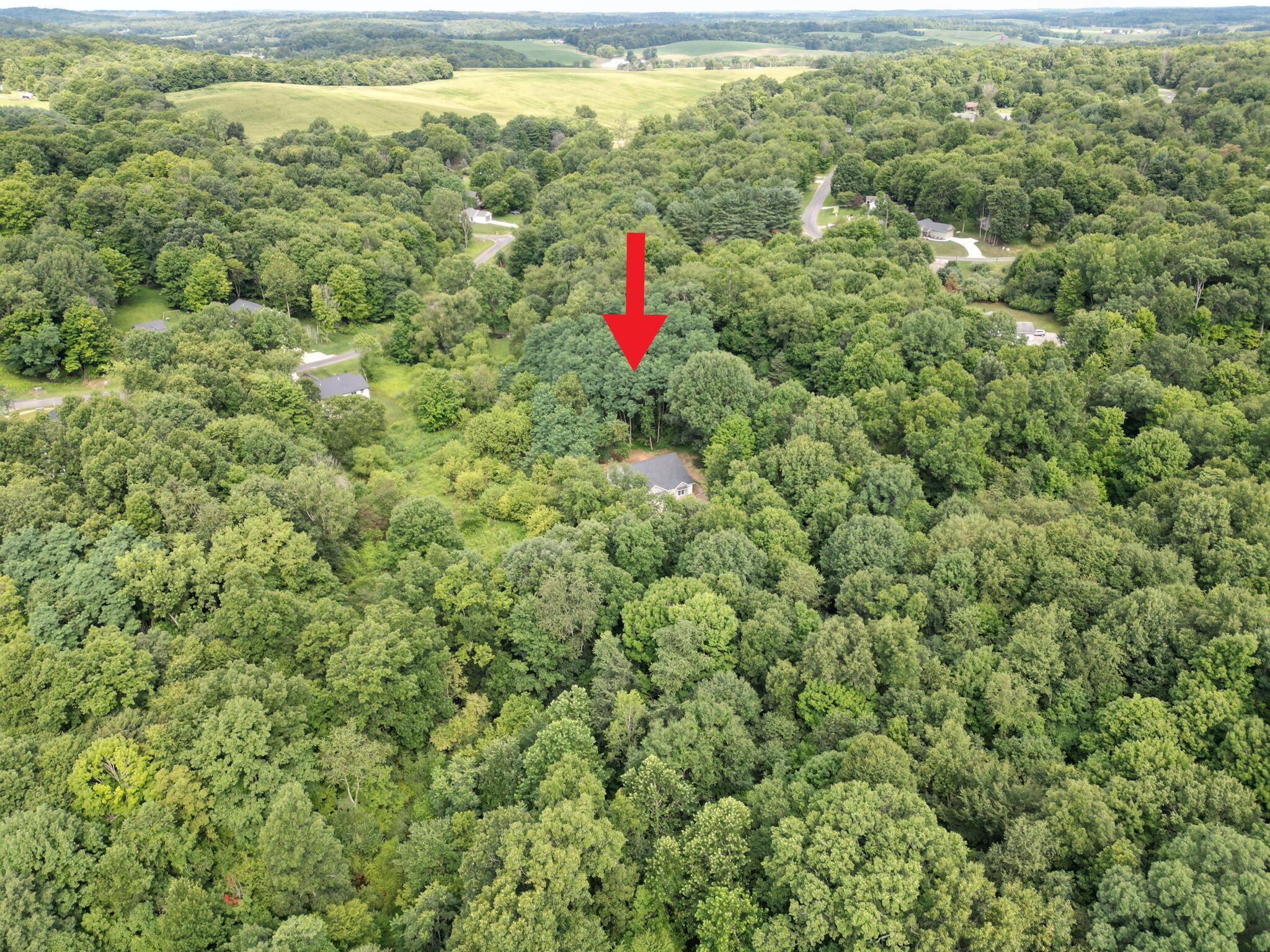 706 Berry Road Property Photo 47