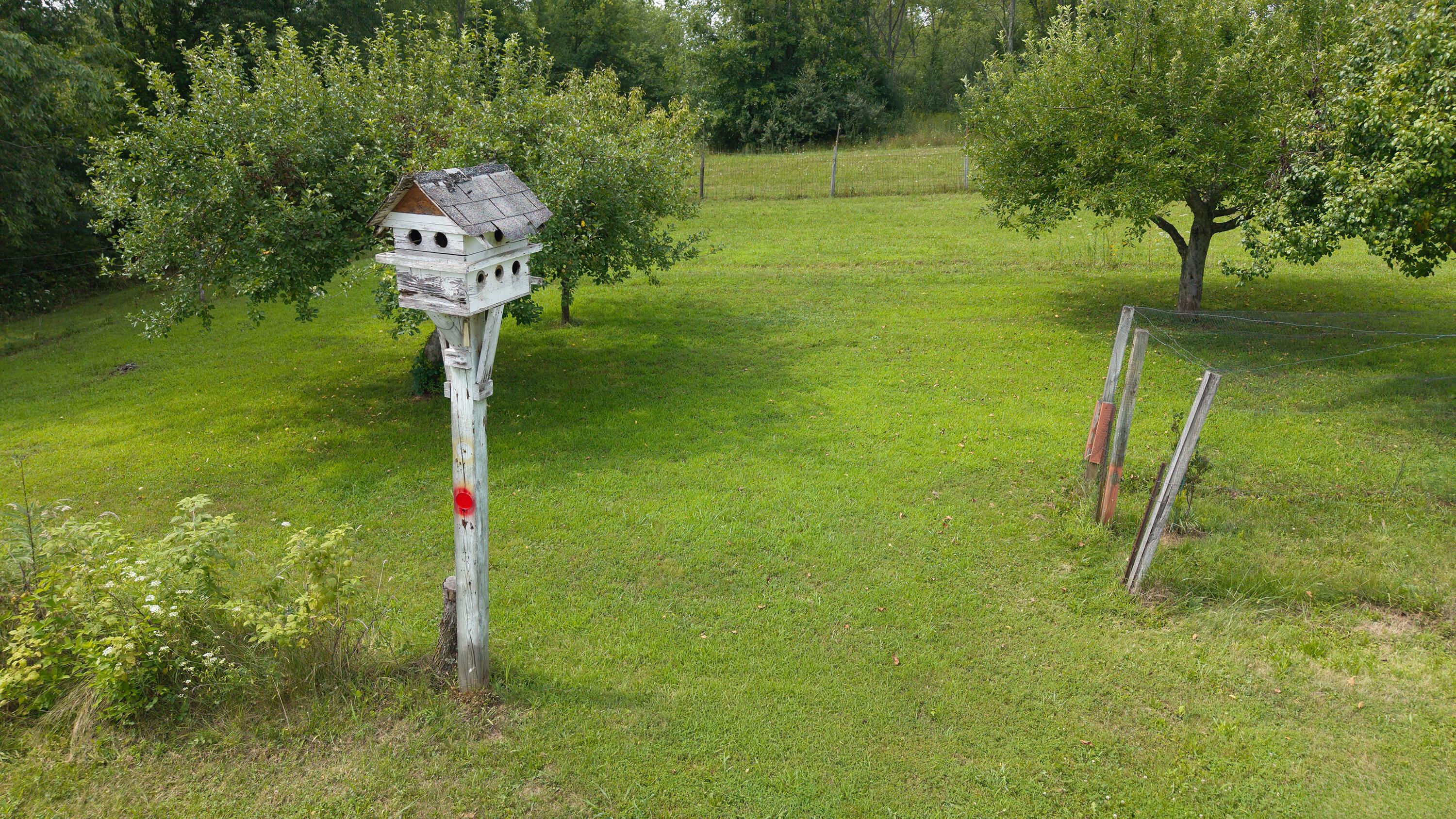 29655 Brush Run Road Property Photo 33