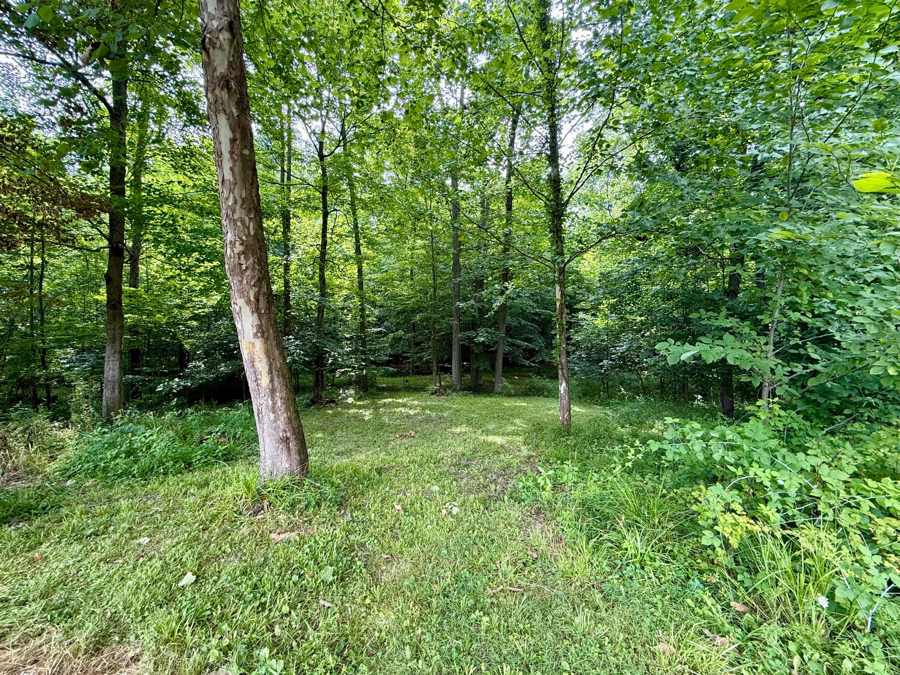 12761 Old Mansfield Road Property Photo 43