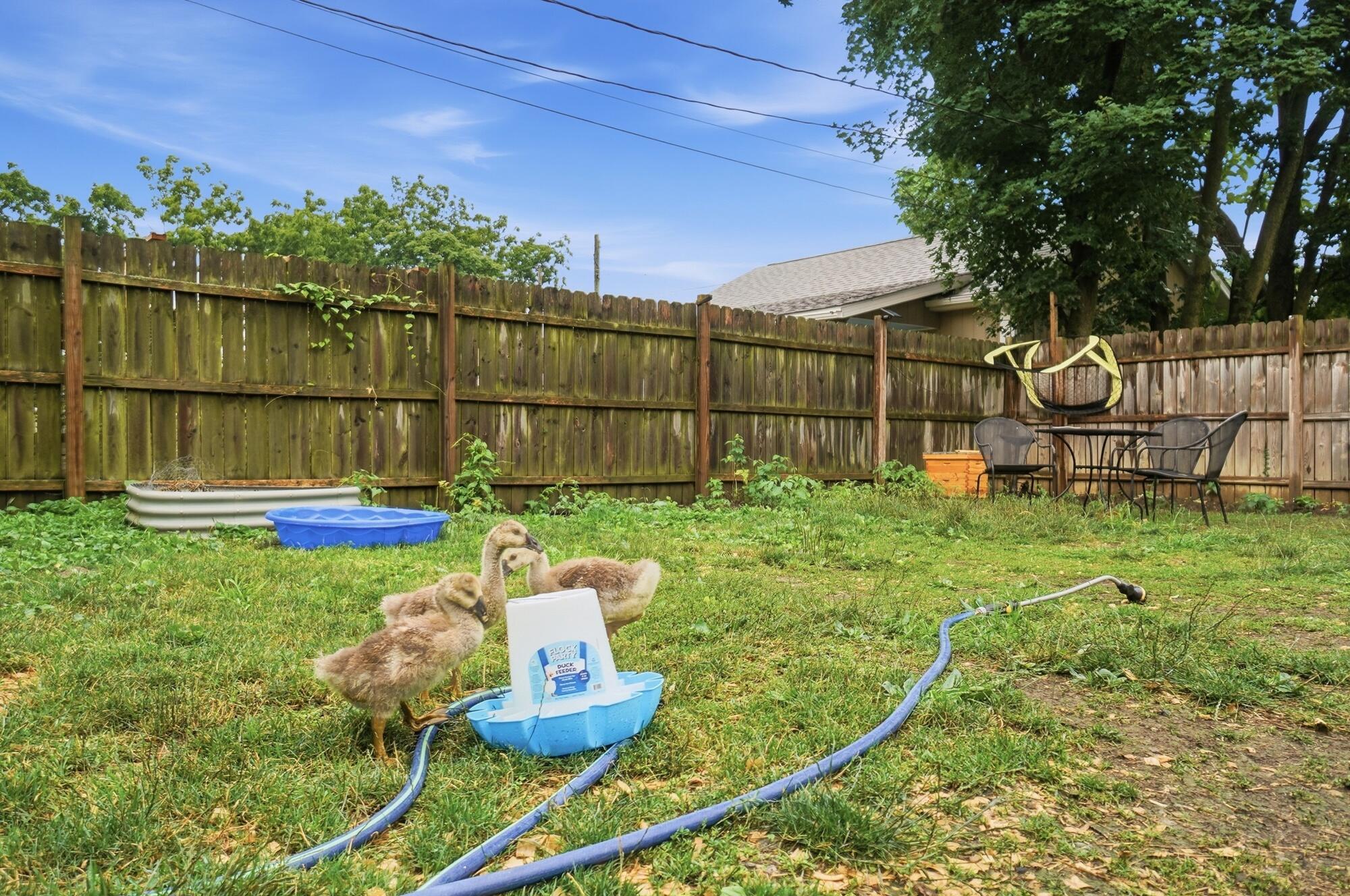 957 Studer Avenue Property Photo 26