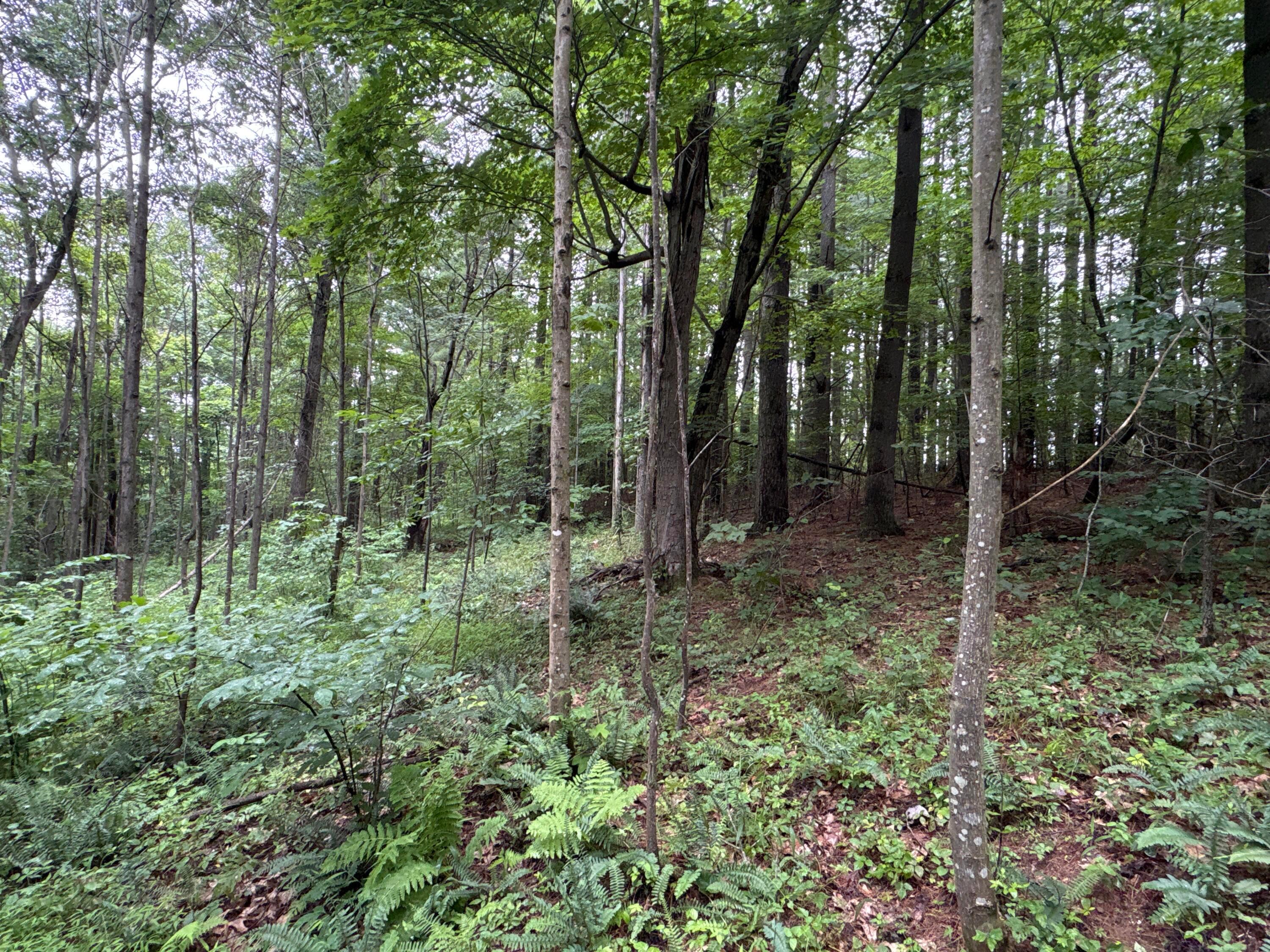 165 Swift Creek Road Property Photo 19