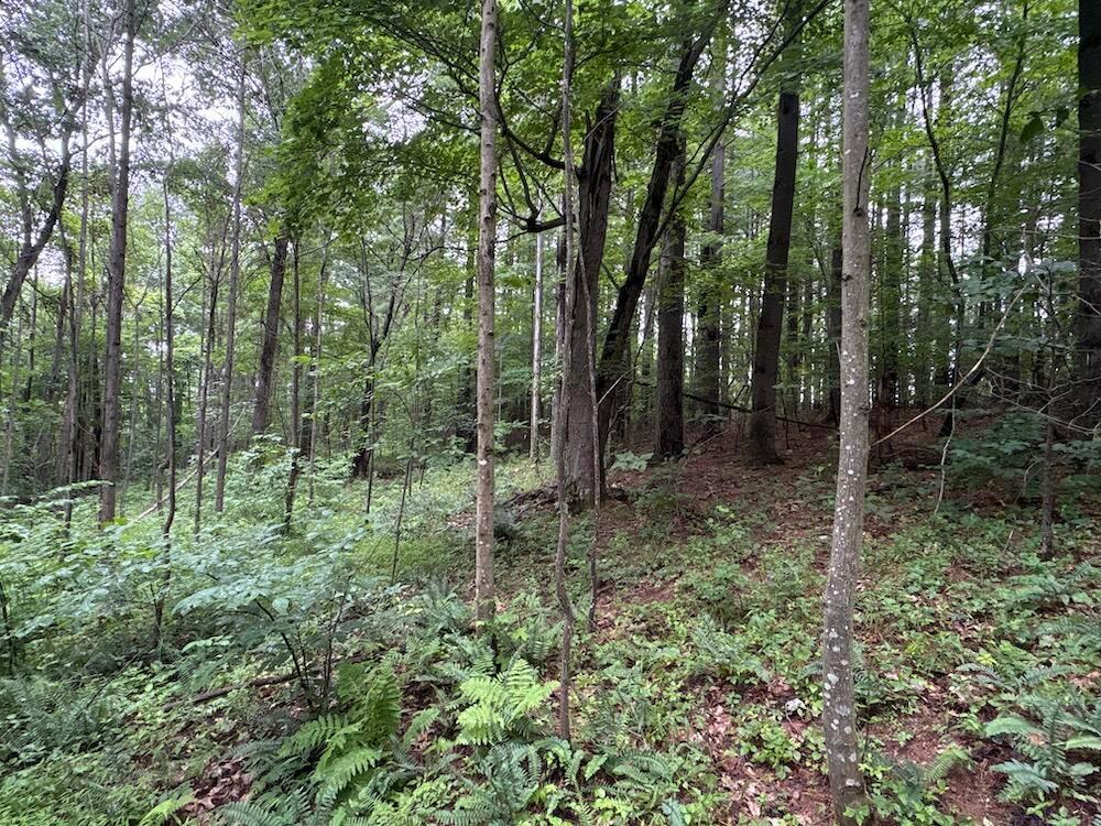 165 Swift Creek Road Property Photo 25