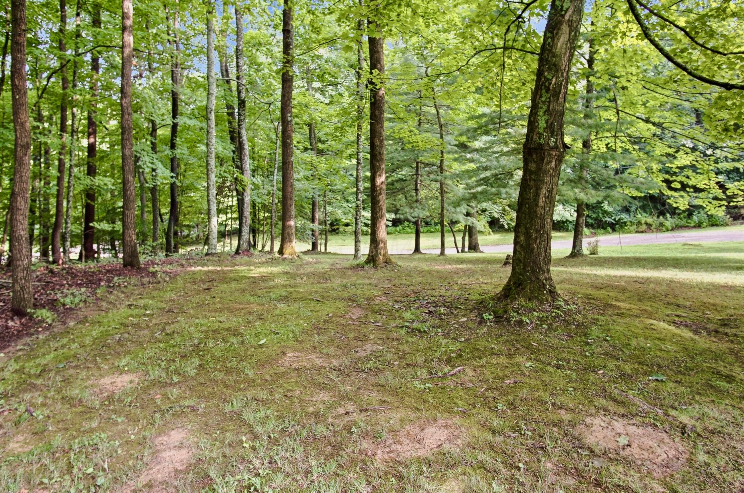 210 Camp Lane Property Photo 51