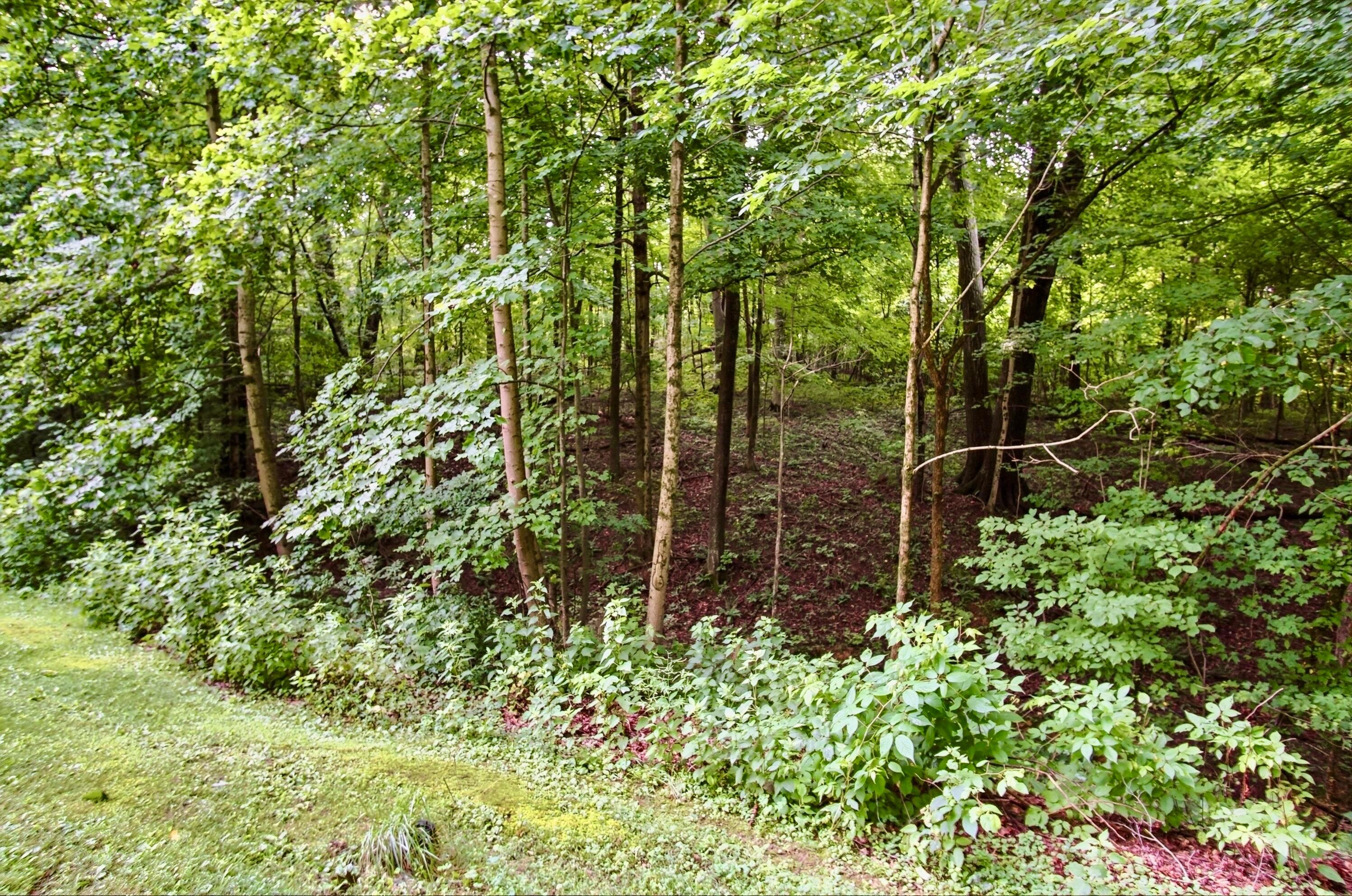 210 Camp Lane Property Photo 61
