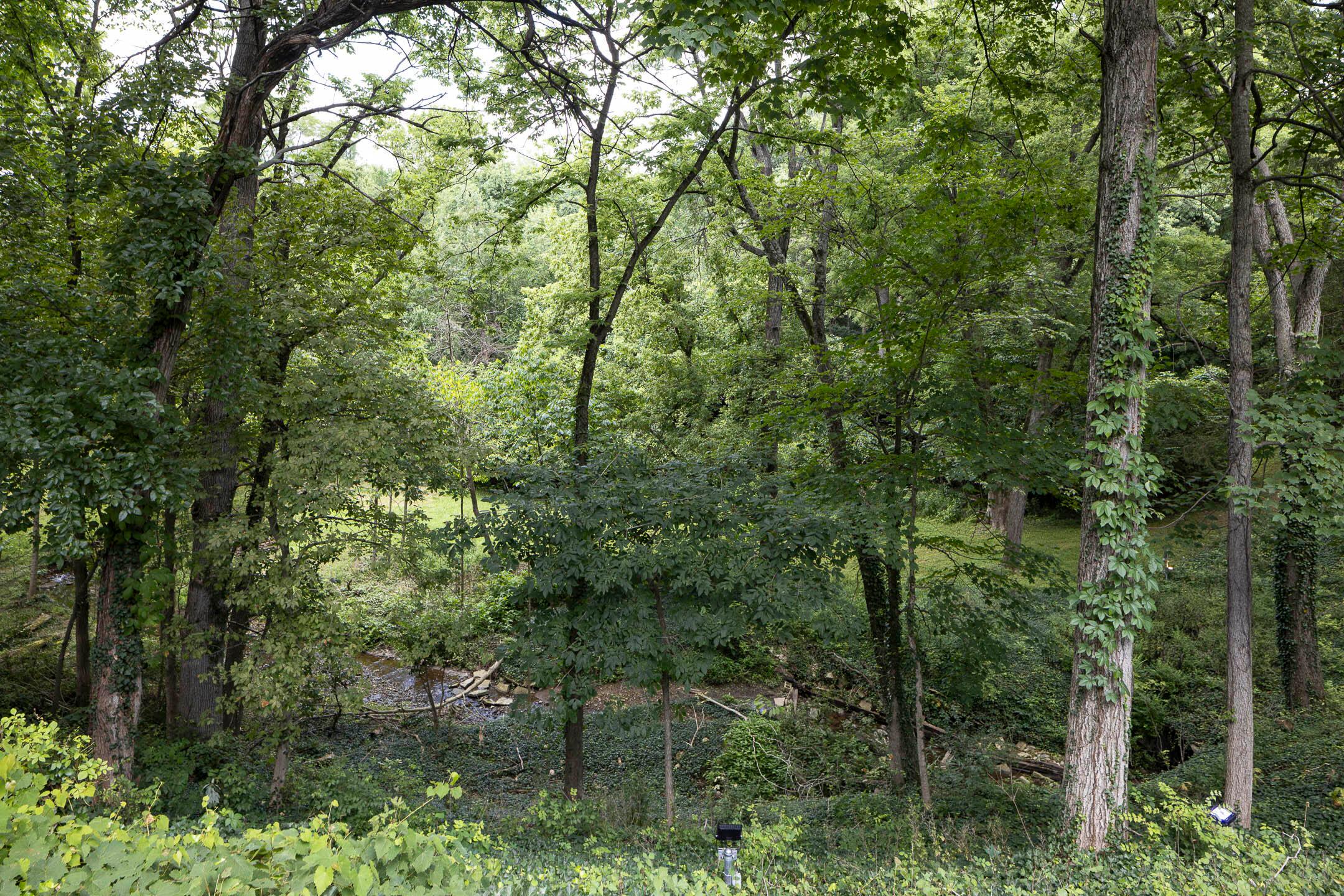 886 Clayton Drive Property Photo 77